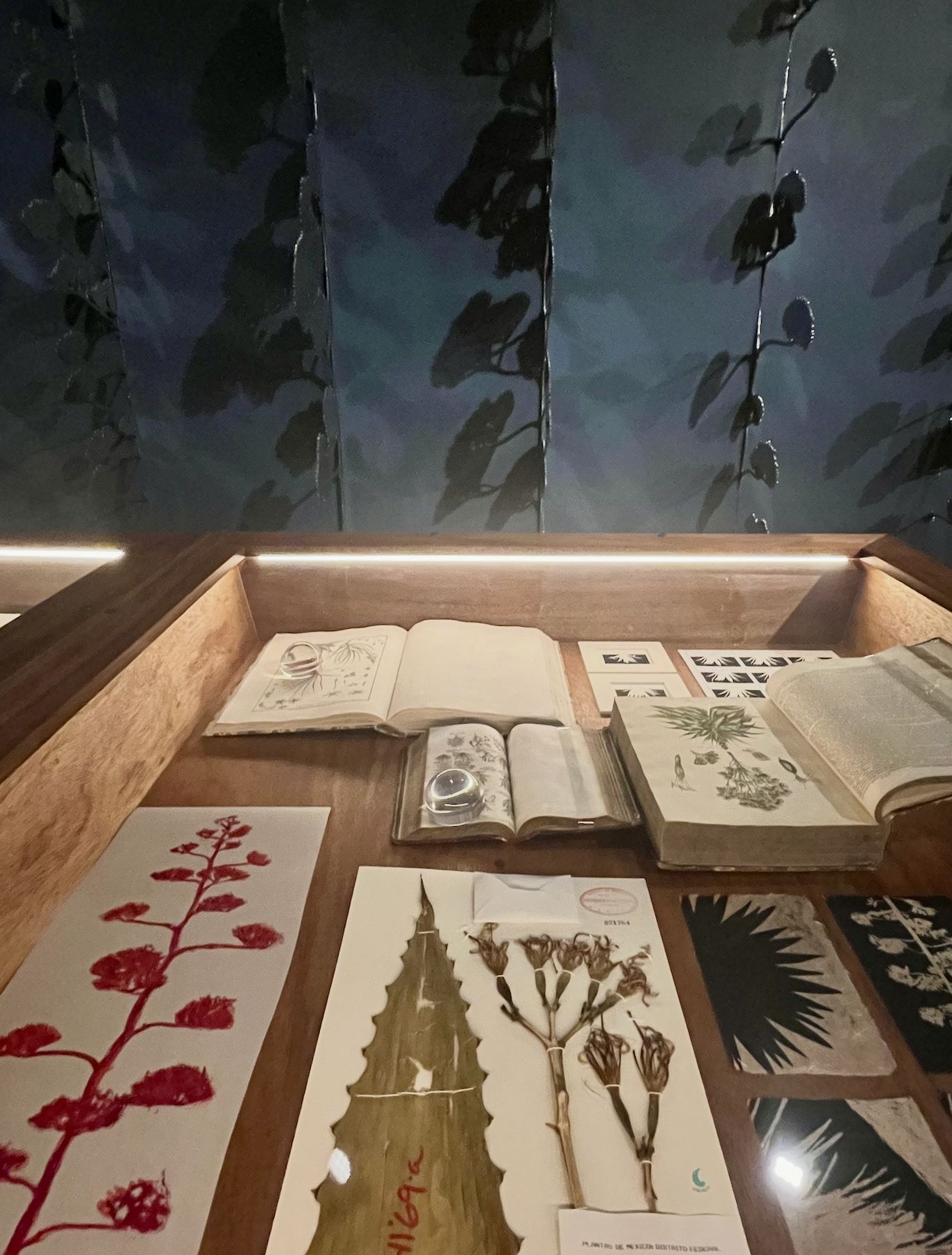 Screenshot 2026-04-25 at 6.39.18 PM.png