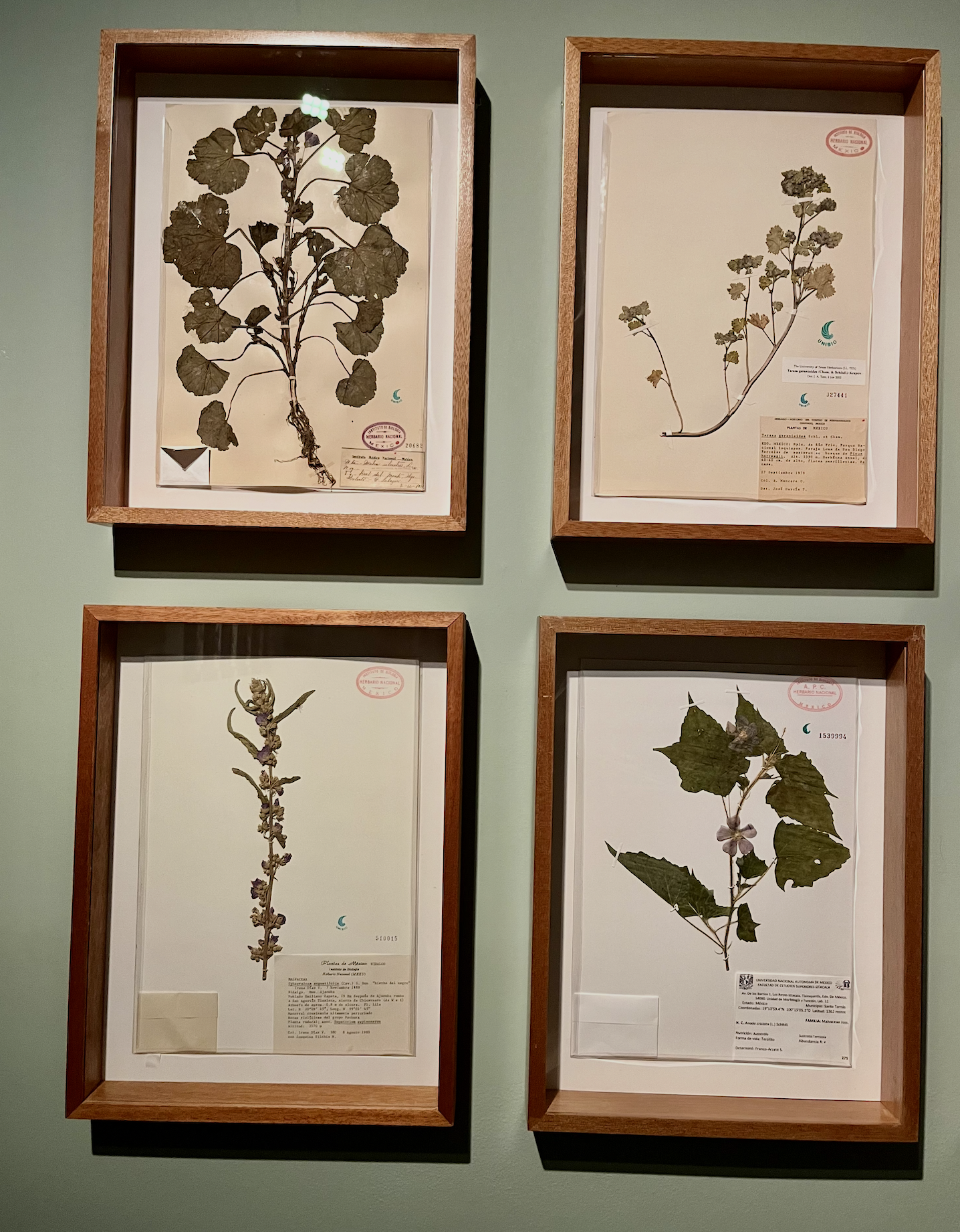 Screenshot 2026-04-25 at 6.41.19 PM.png