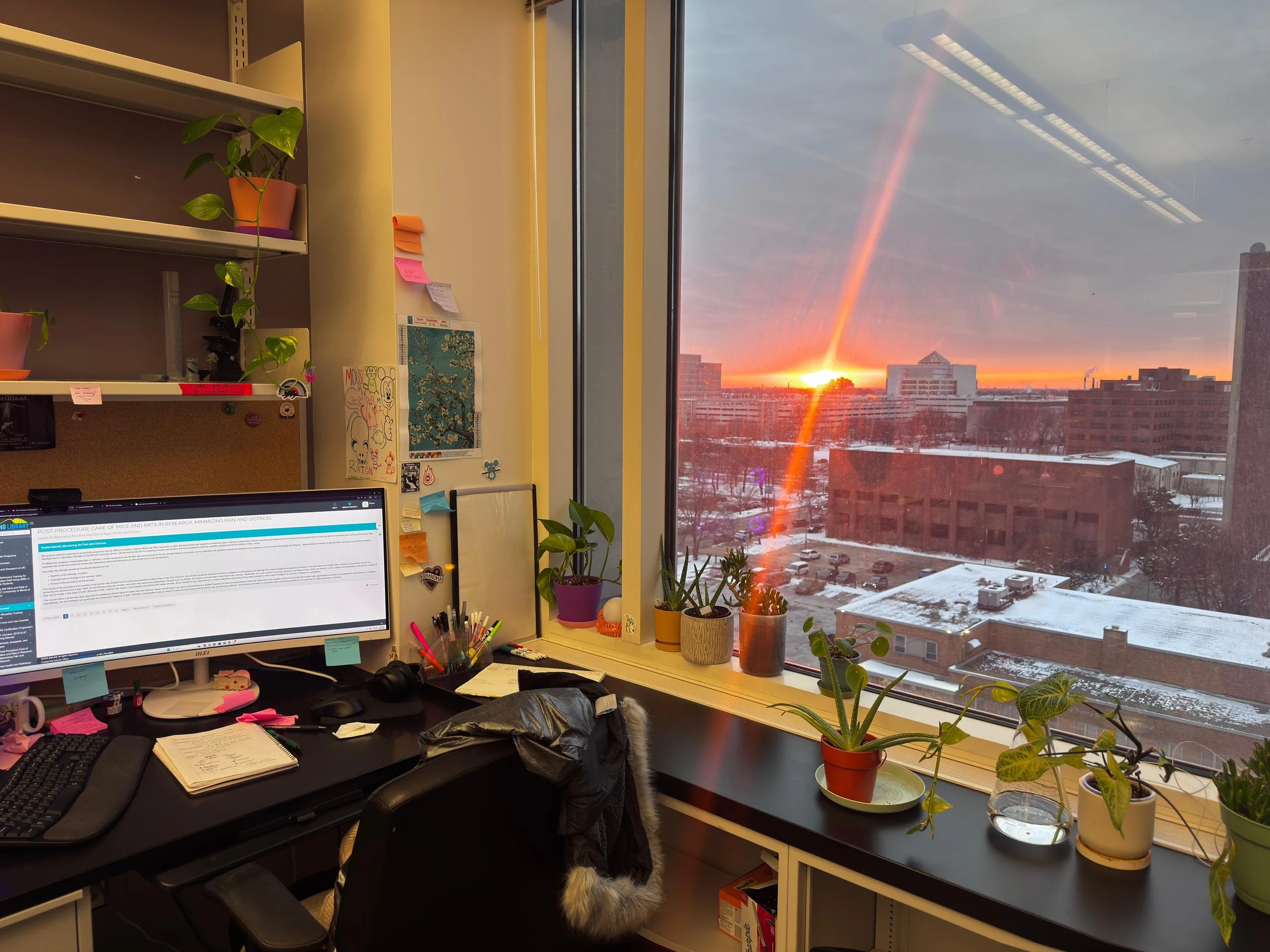 WhatsApp Image 2025-12-16 at 11.59.45_525eb251.jpg