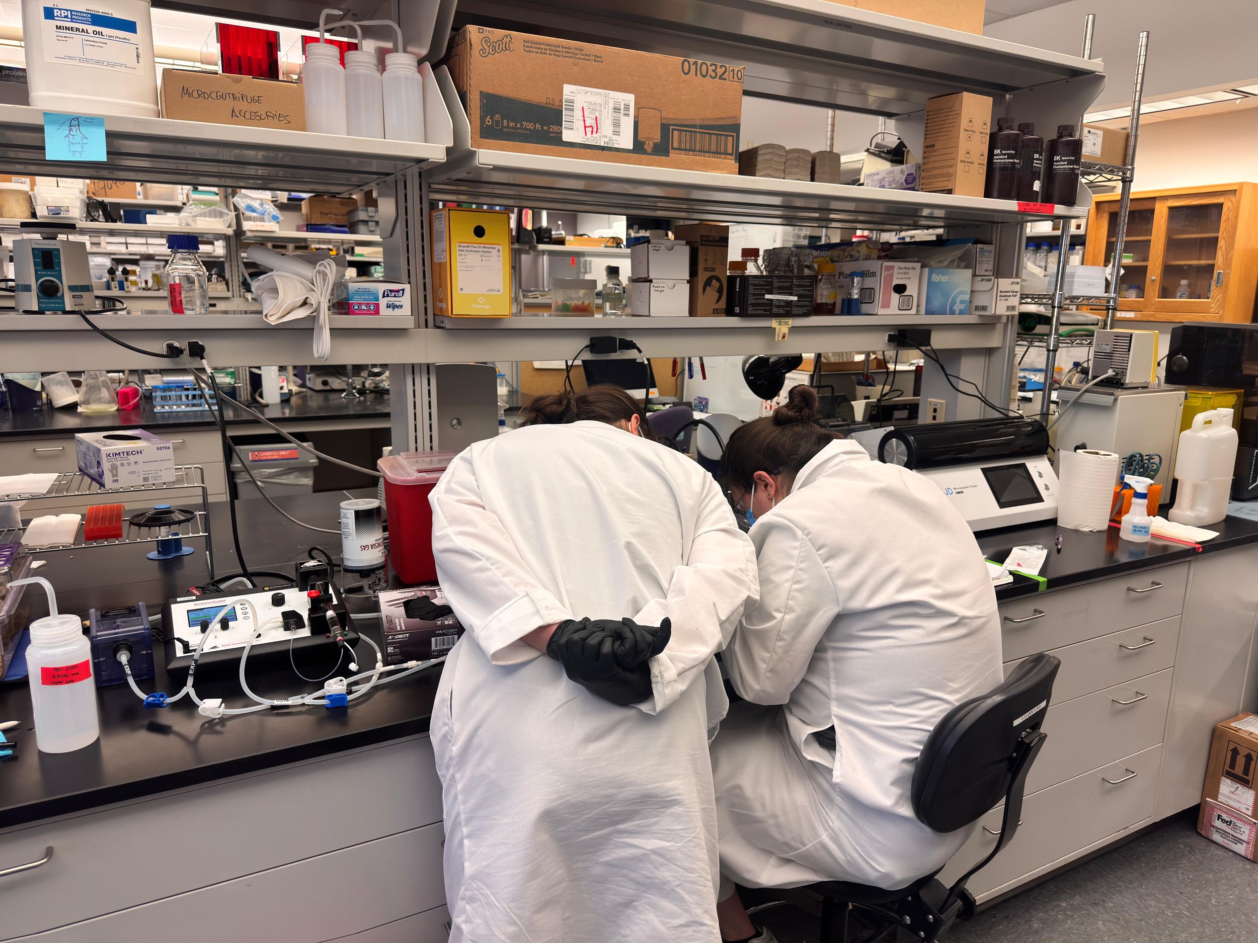 WhatsApp Image 2026-02-16 at 10.14.45 AM.jpeg