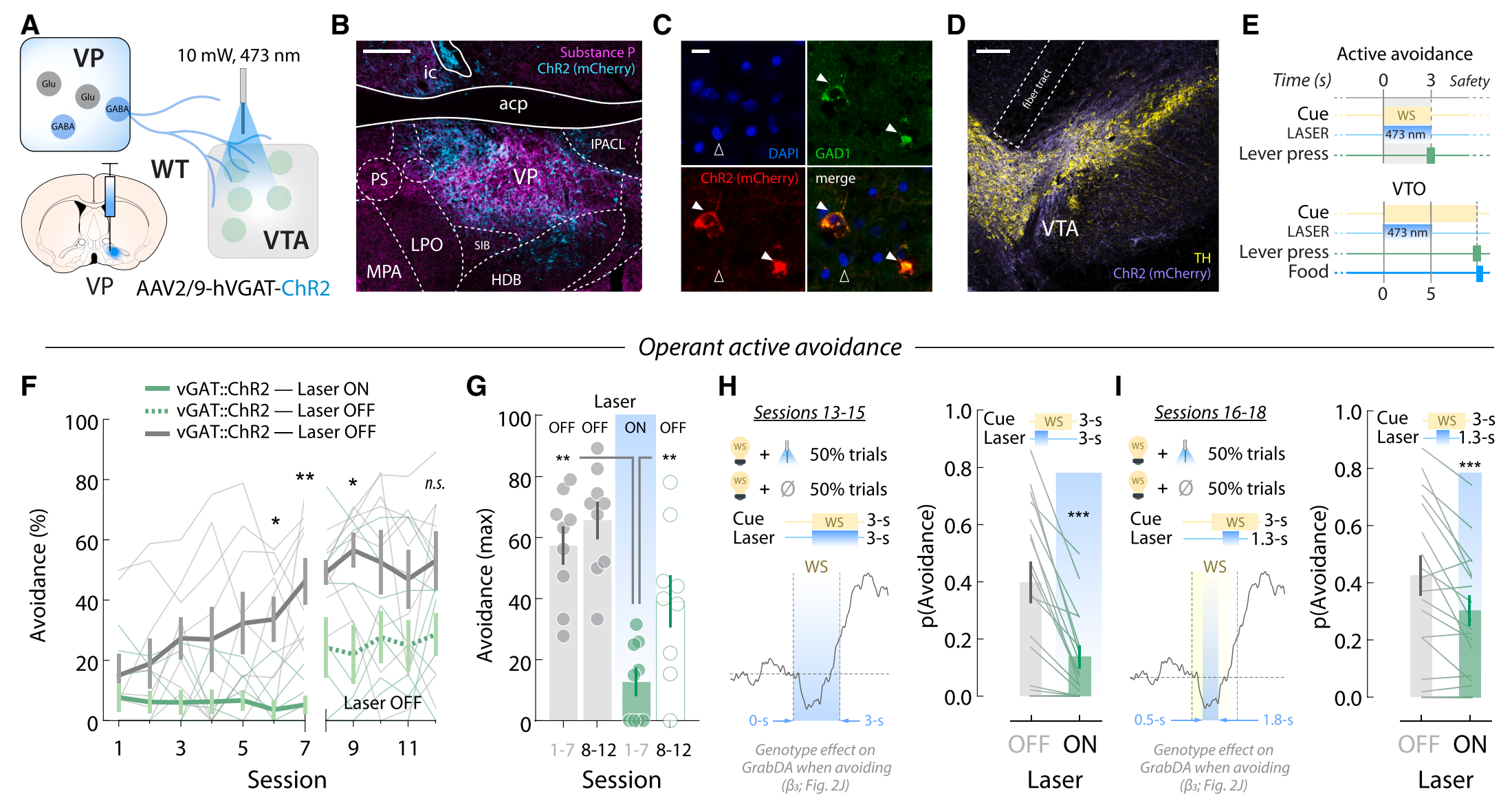 Scientific research figure with multiple panels showing correlation matrix, bar charts, and scatter plot related to neuroscience, behavior, and statistical analysis.
