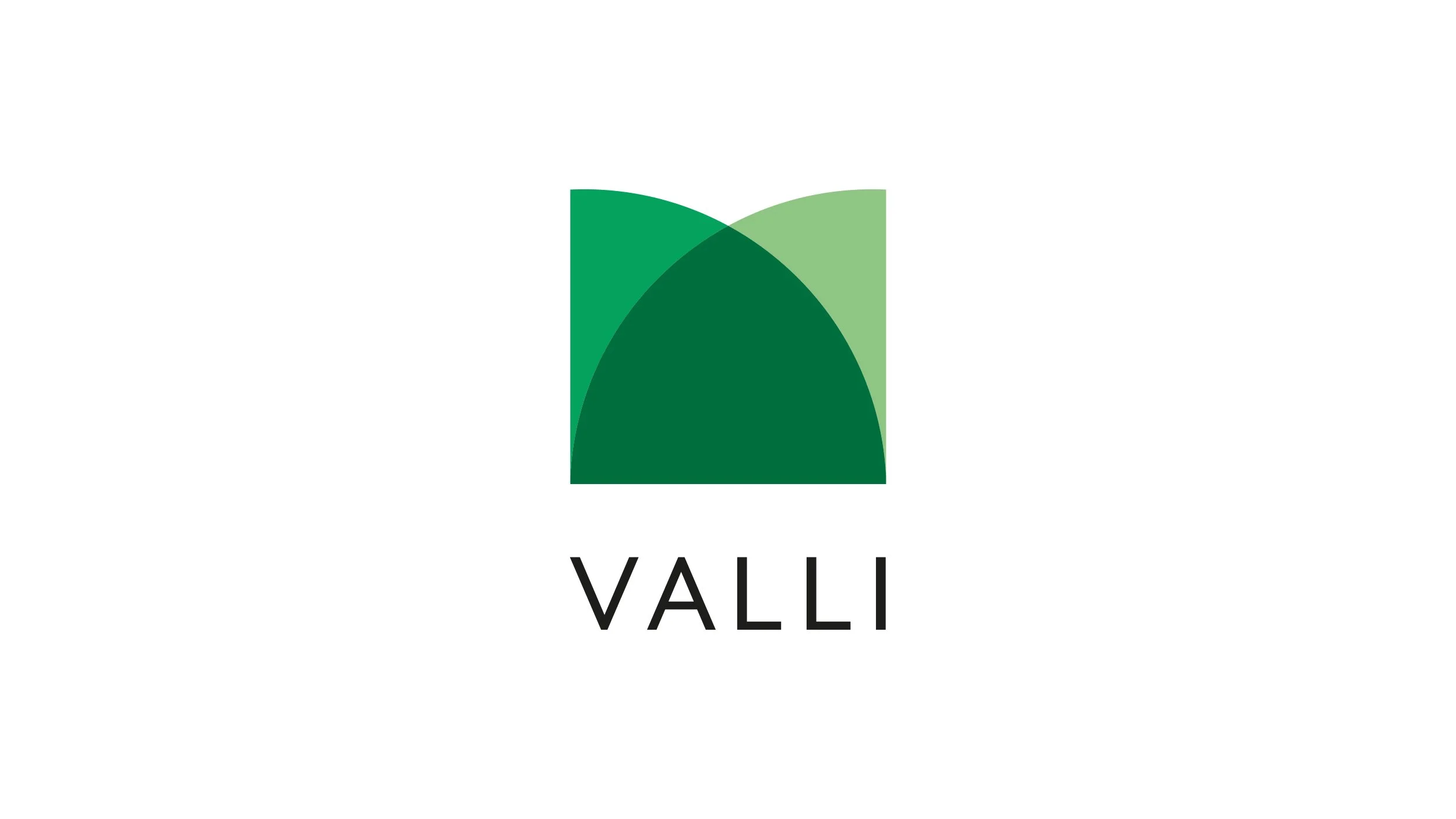 Valli_Brand_2500x1406-1.jpg