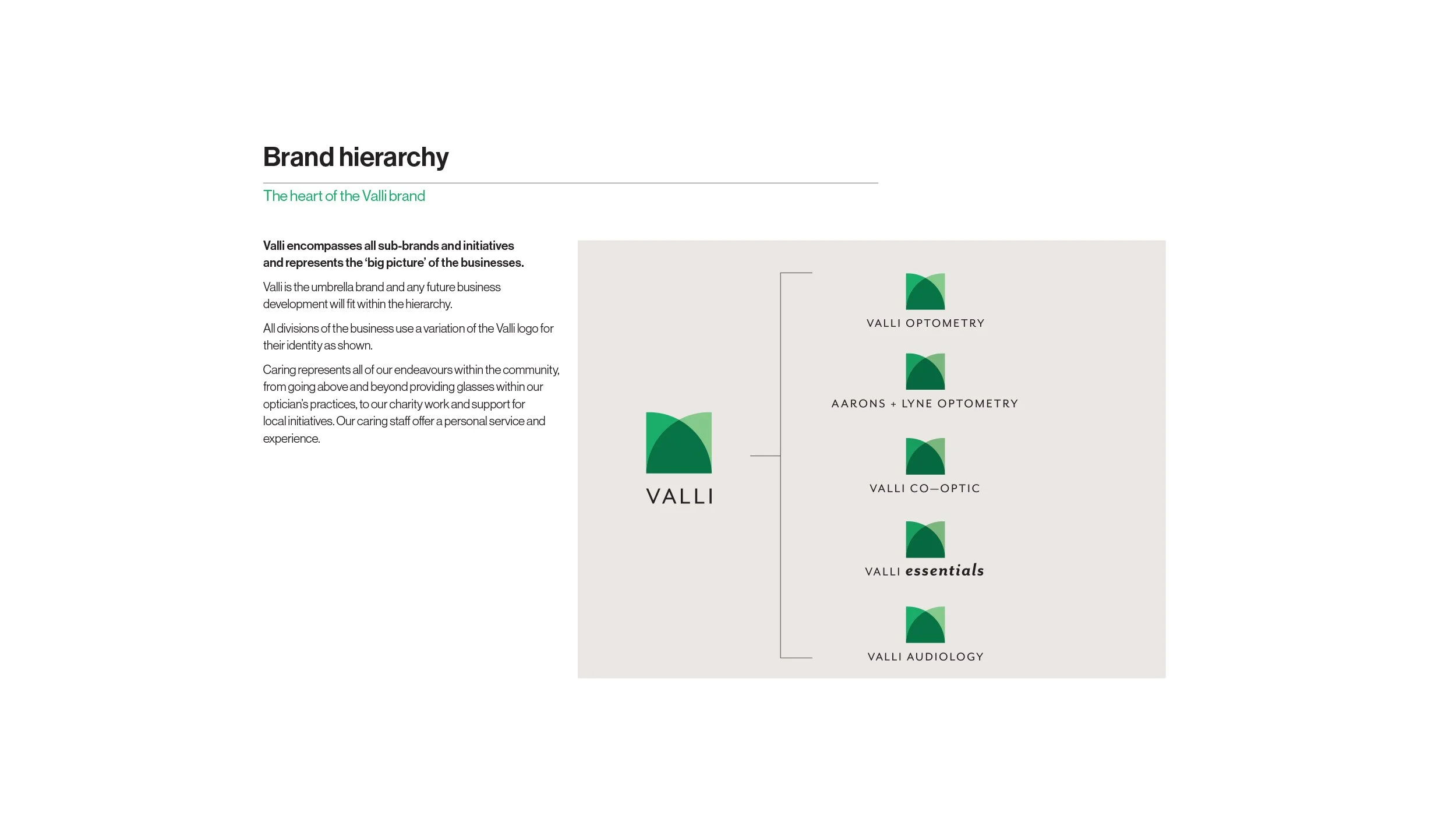 Valli_Brand_2500x1406-2.jpg