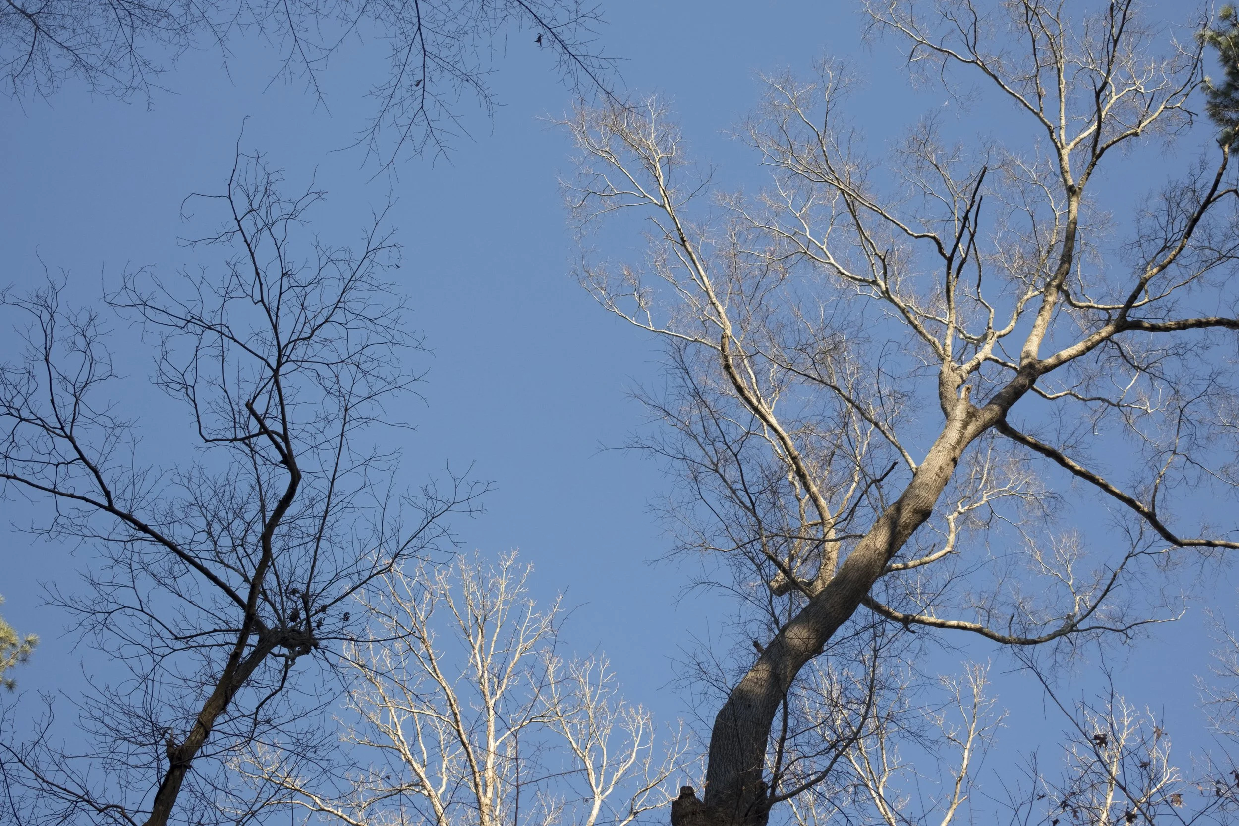 DSCF1584.JPG