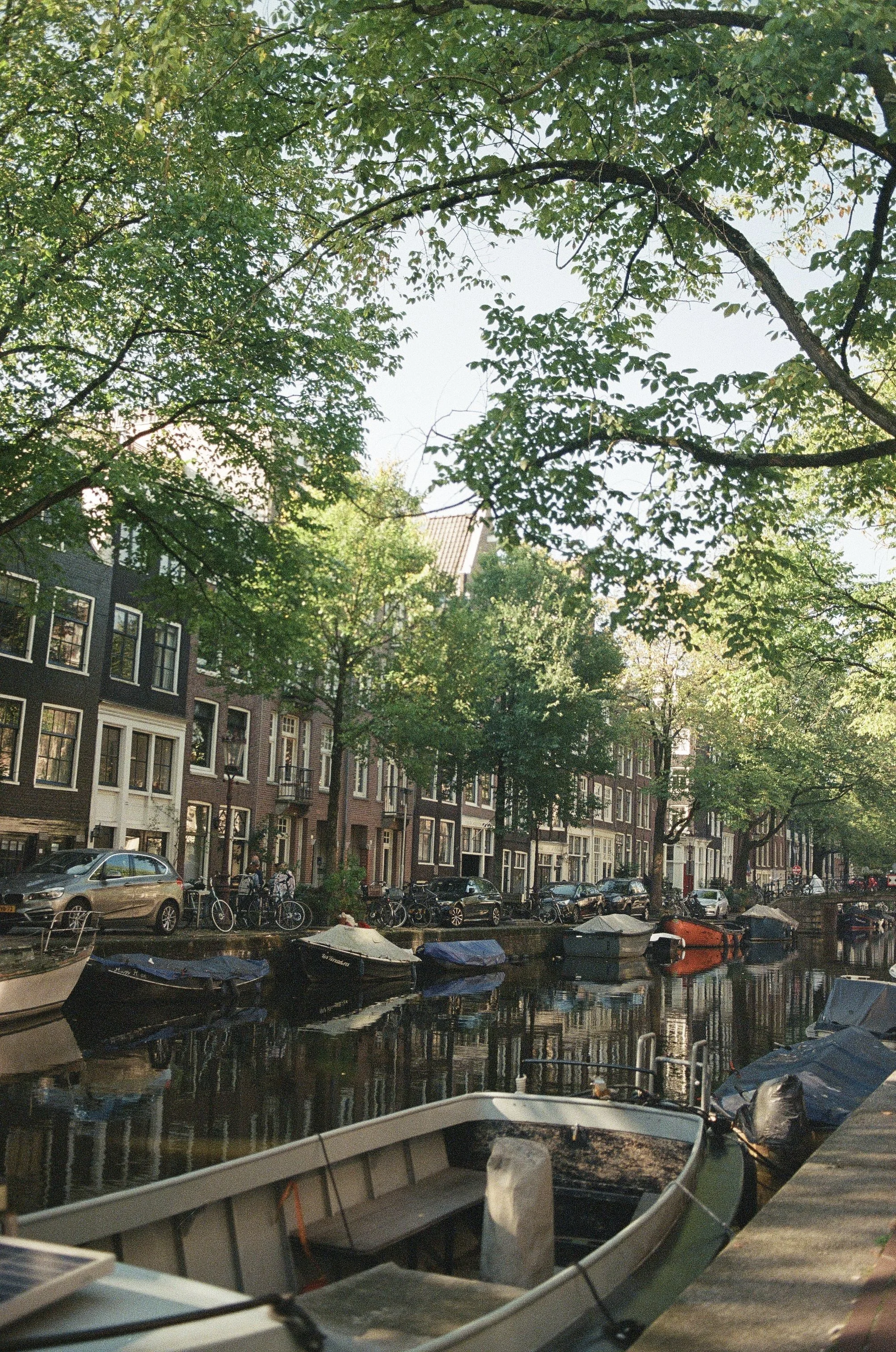 2024-11-13 16.01.52-1.jpg