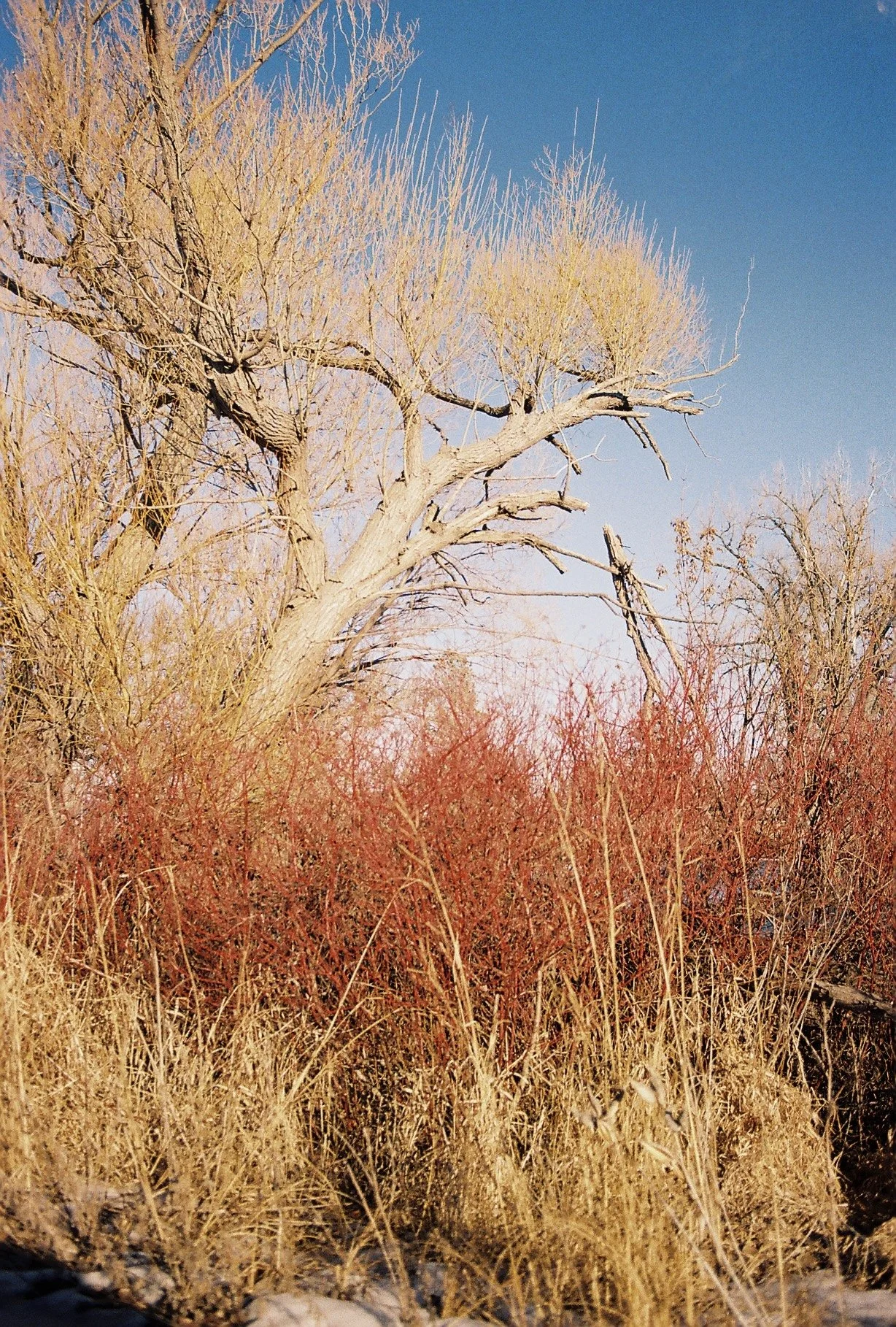 2025-03-24 15.55.47-5.jpg