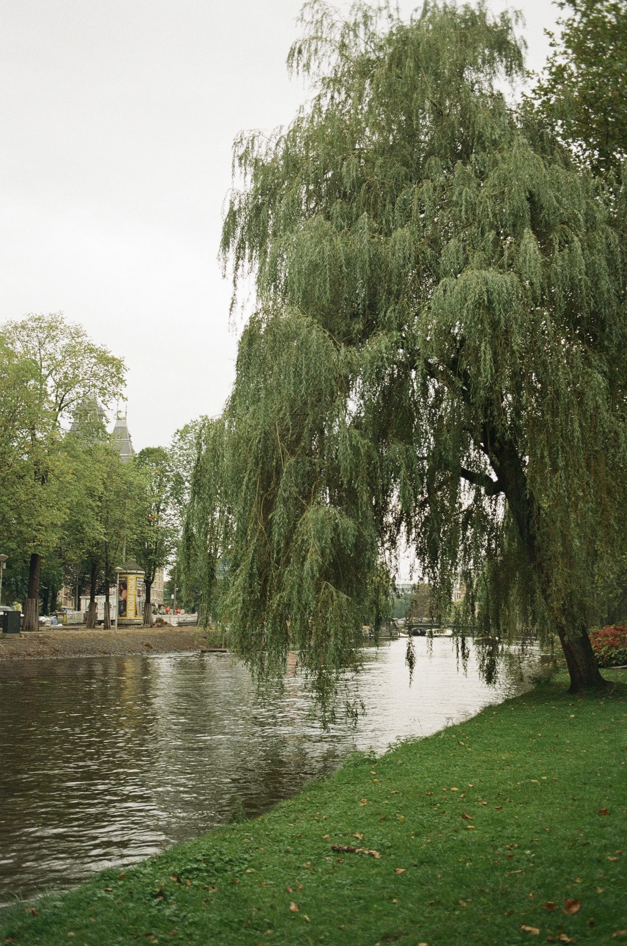 2024-11-13 16.00.52-1.jpg