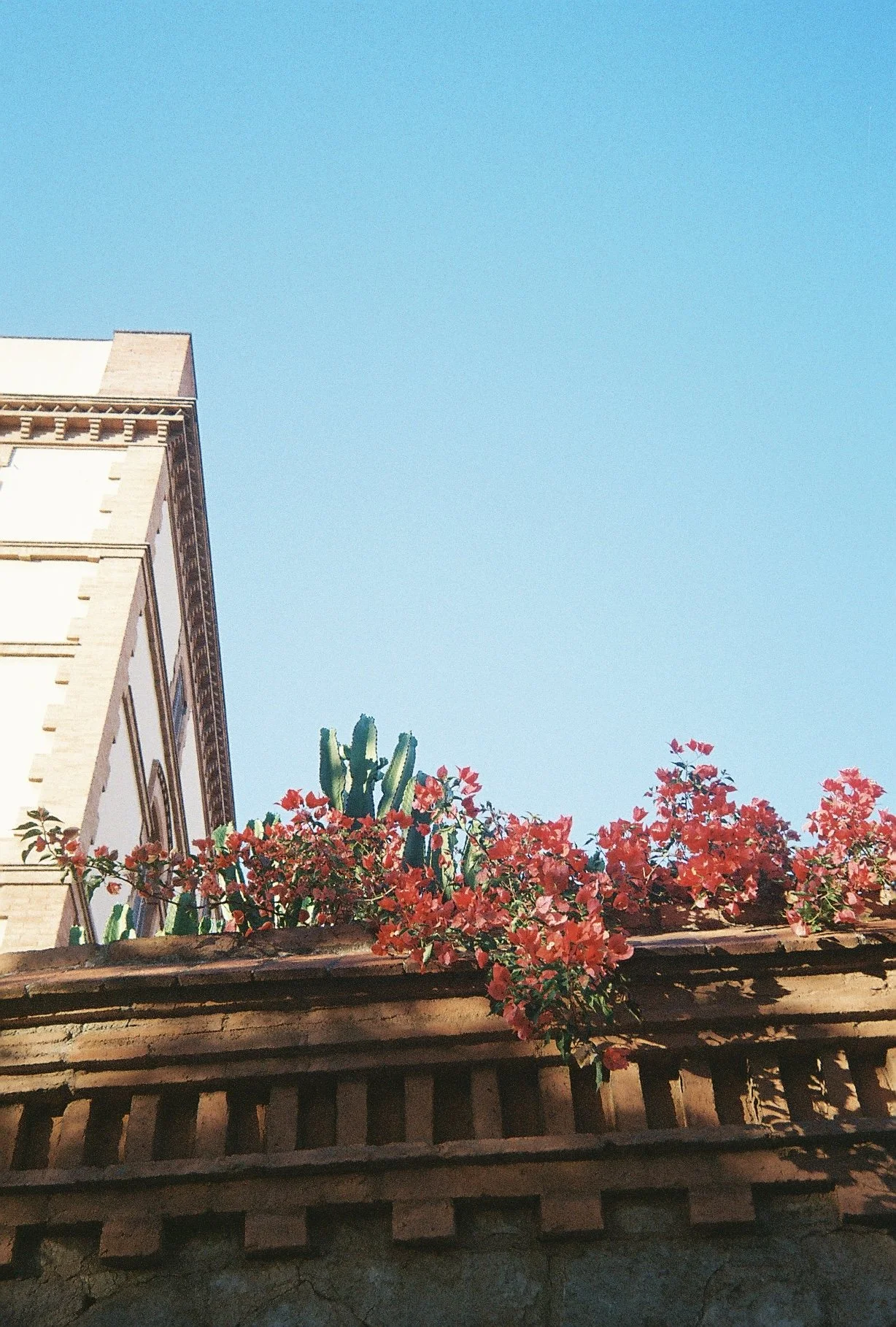 2023-08-22 20.17.56.jpg