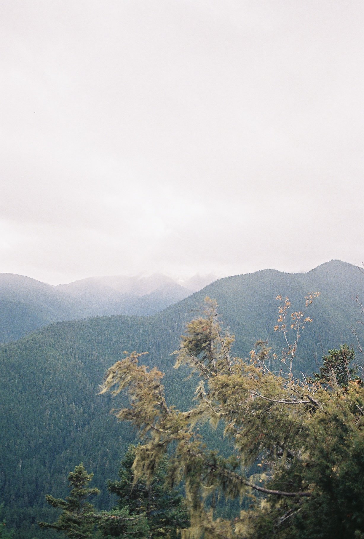 2021-12-04 14.34.58-2.jpg