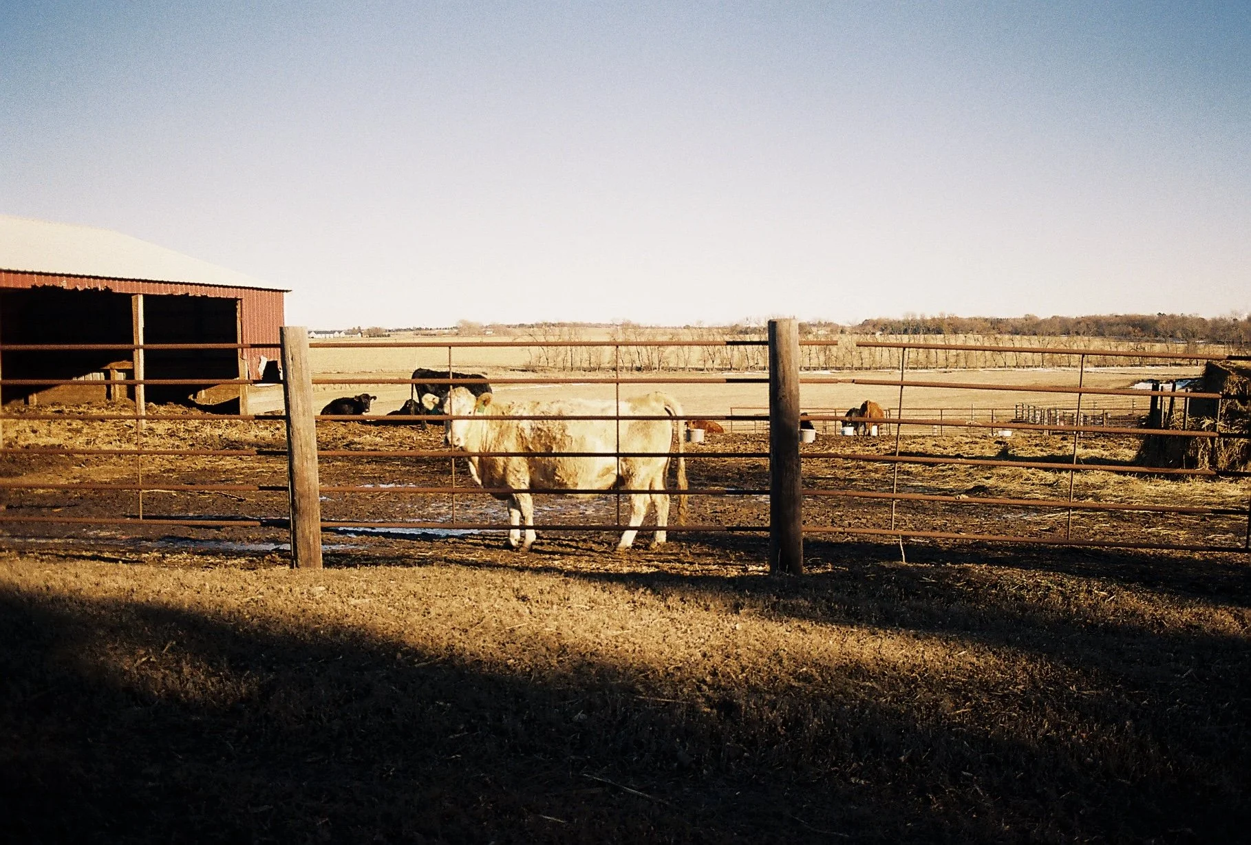 2025-03-24 15.55.48-14.jpg