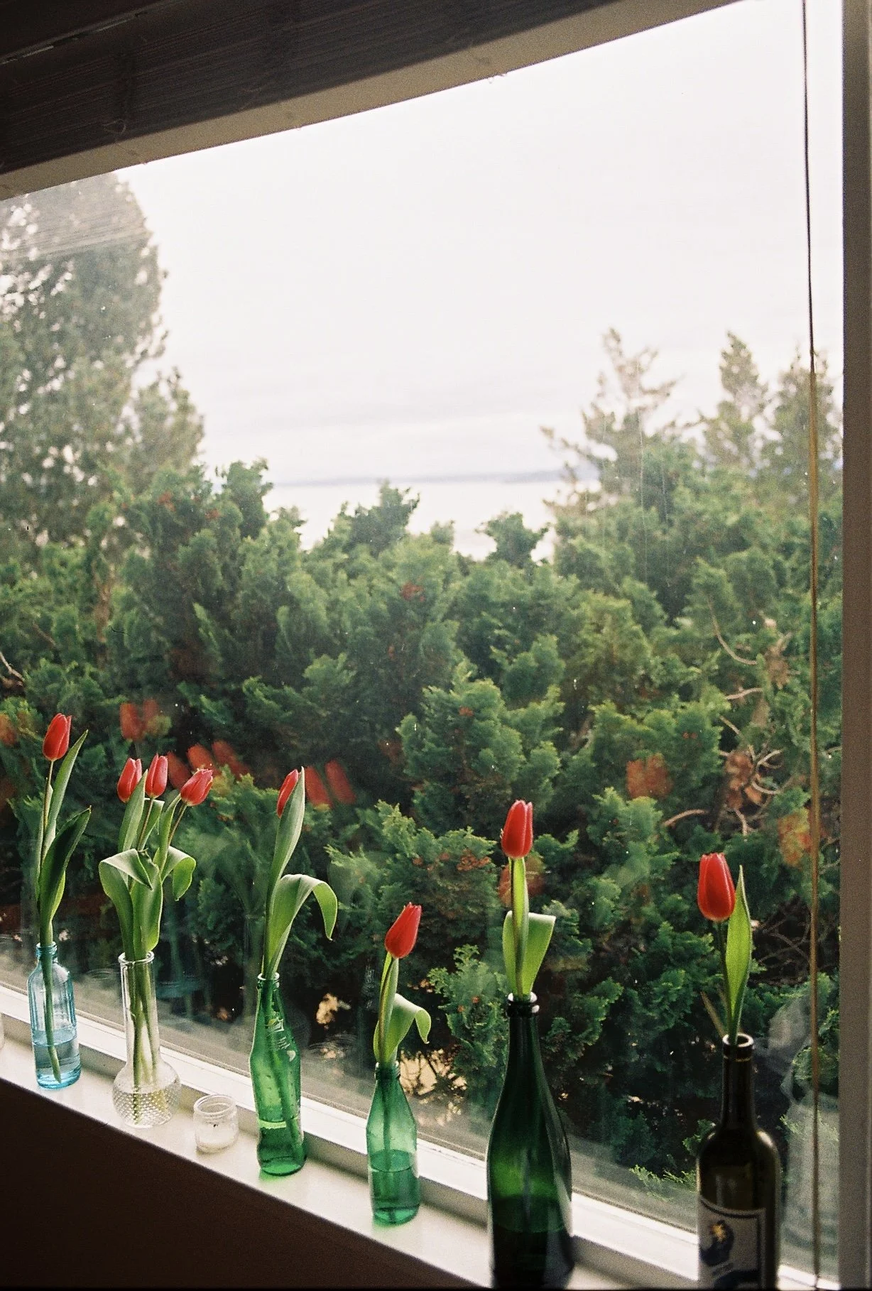 2025-03-24 15.55.47-3.jpg