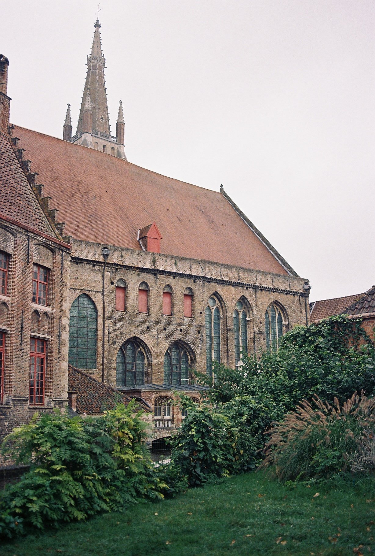 2025-03-24 15.55.49-2.jpg