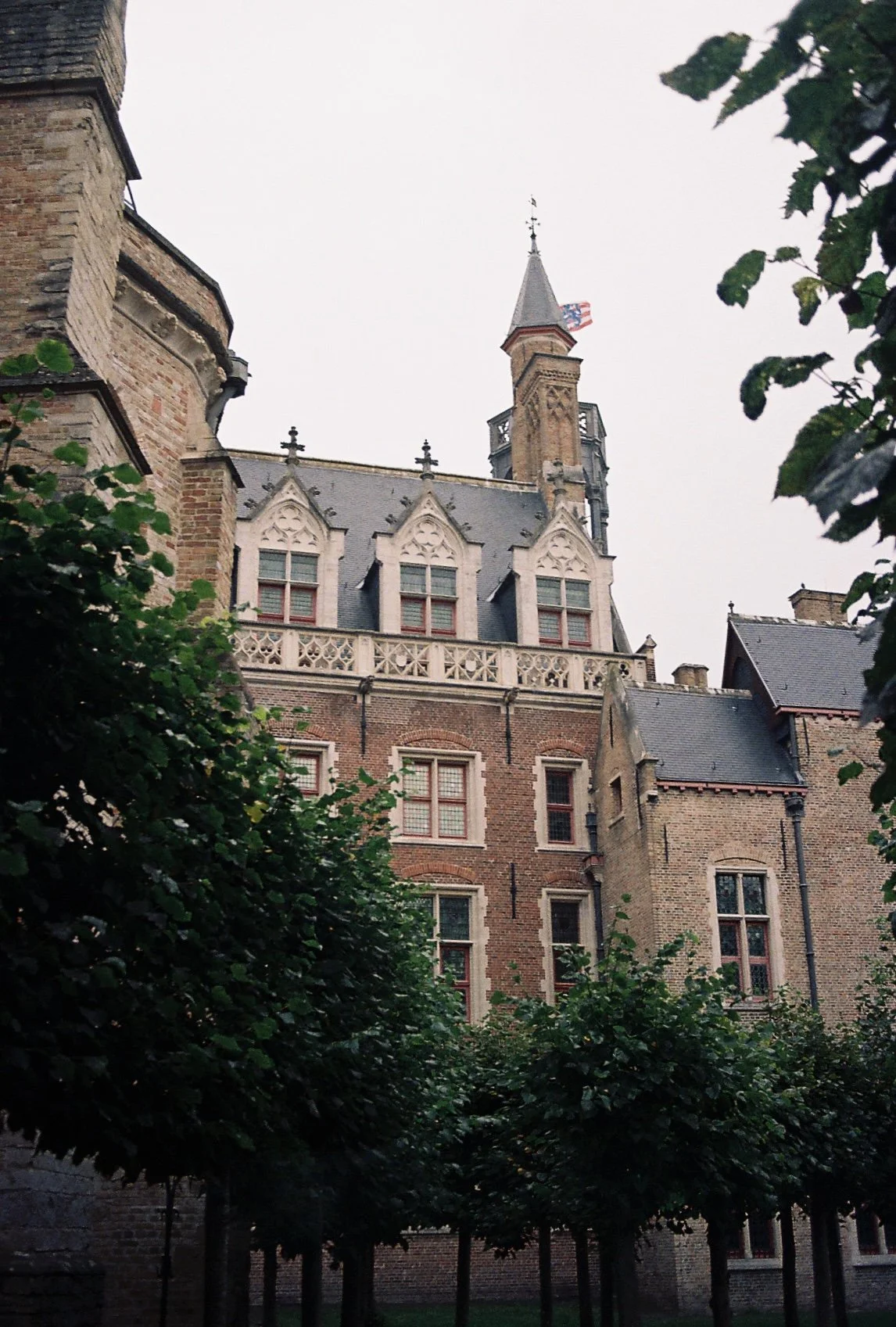 2025-03-24 15.55.49-3.jpg