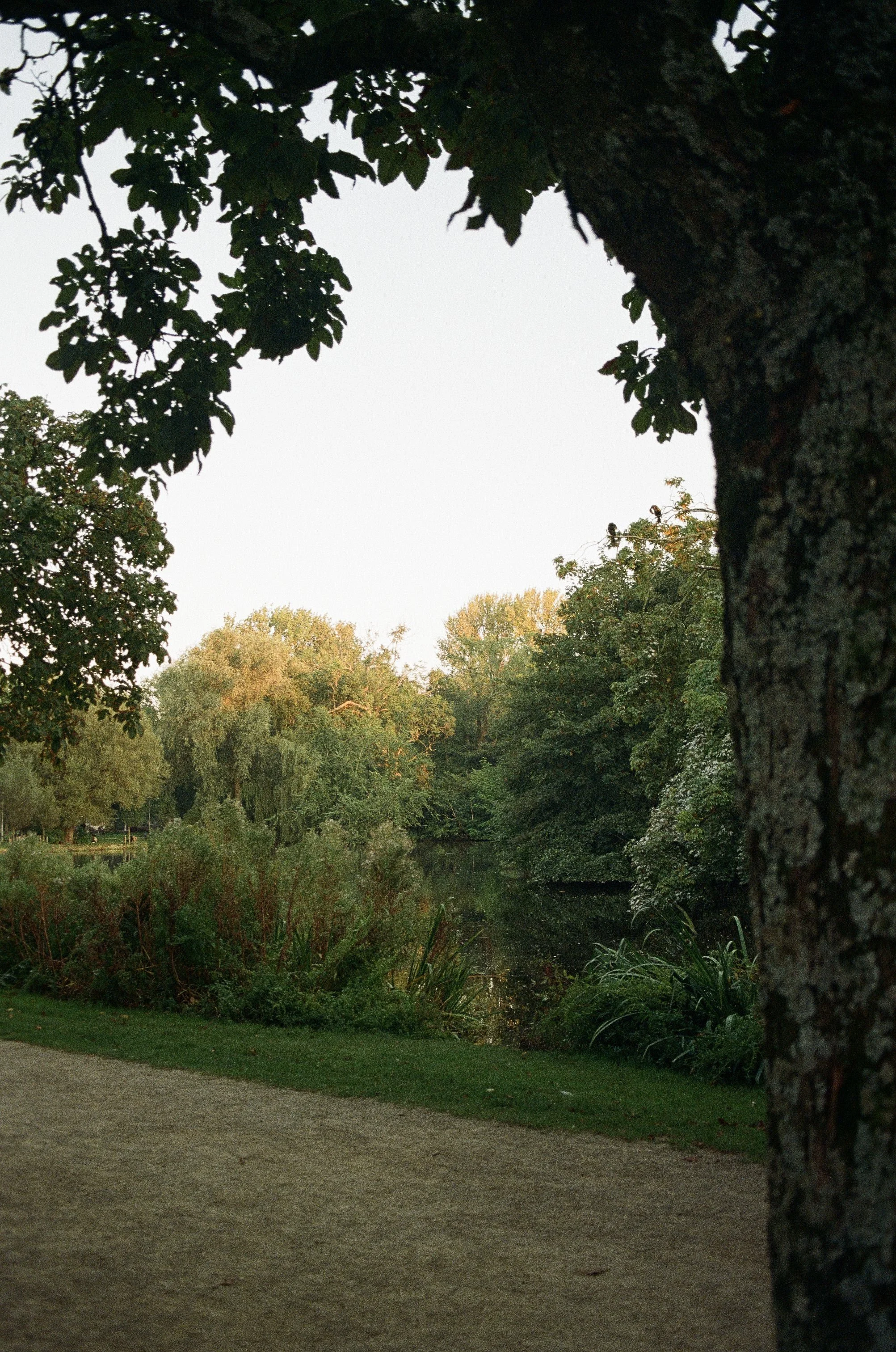 2024-11-13 16.01.37-1.jpg