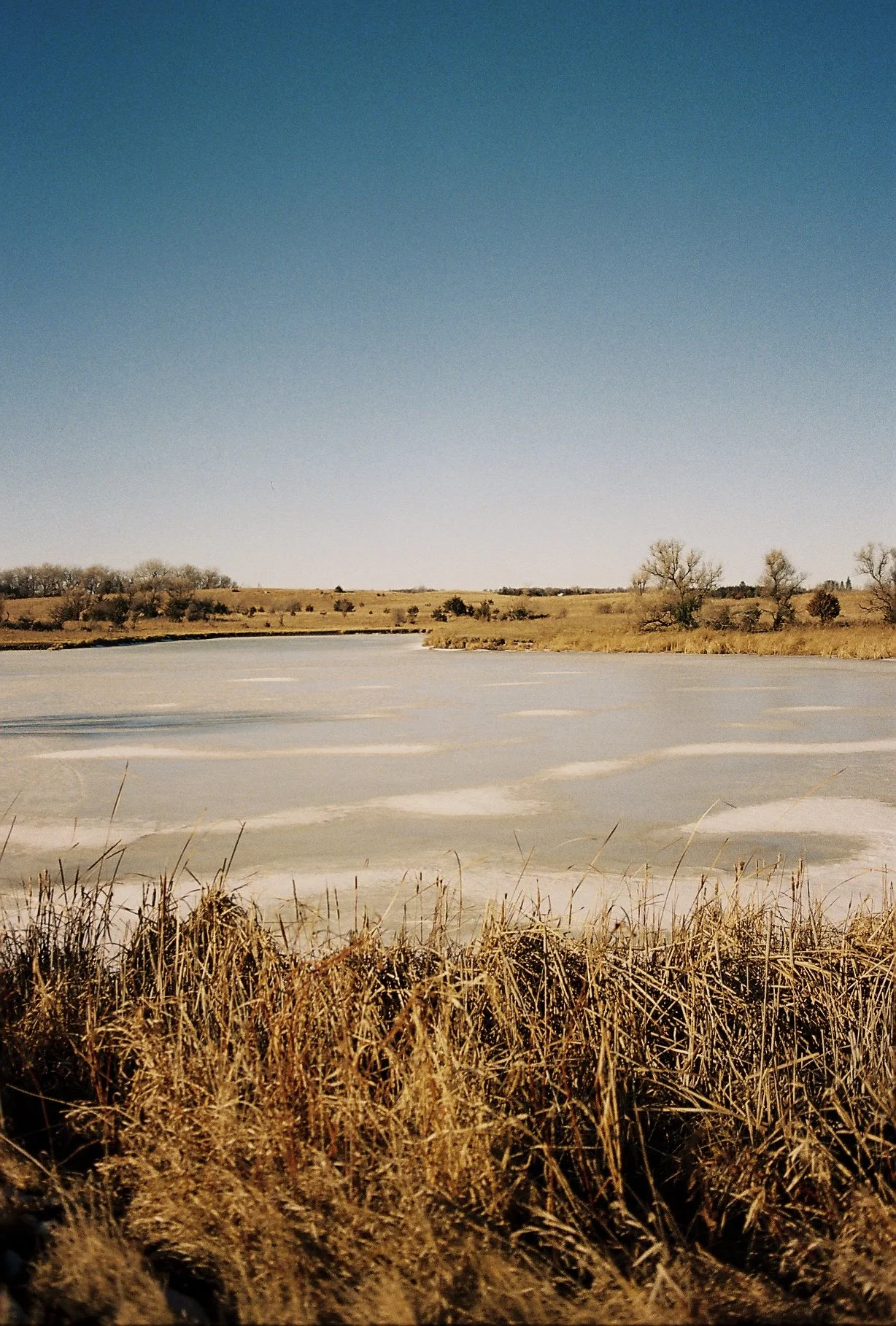 2025-03-24 15.55.48-4.jpg