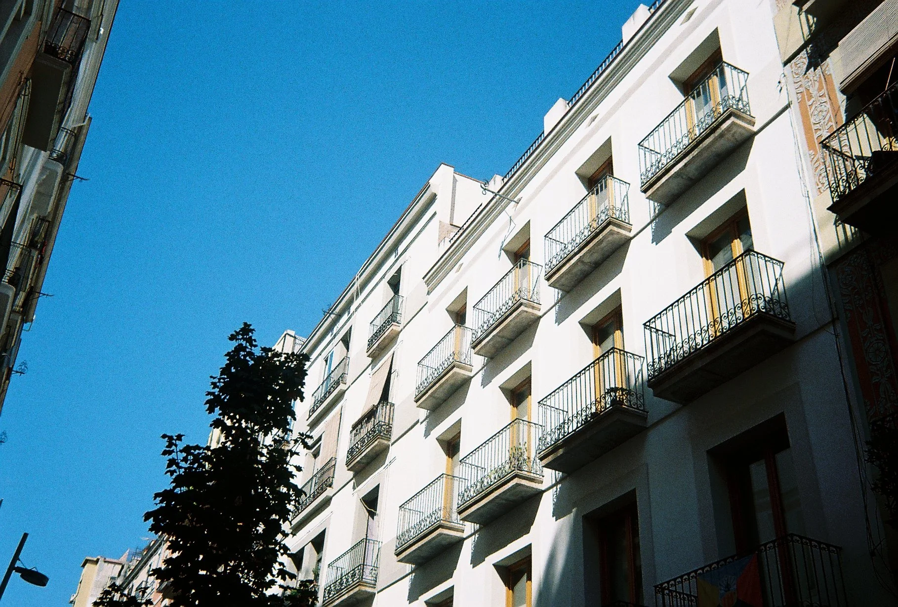 2023-08-22 20.17.55-1.jpg