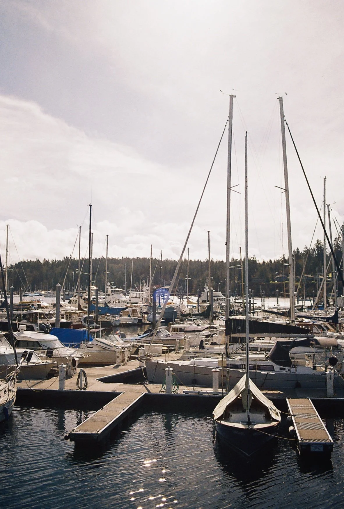 2025-03-24 15.55.47-1.jpg