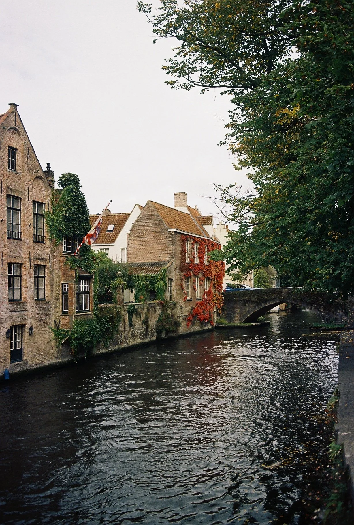 2025-03-24 15.55.49-4.jpg