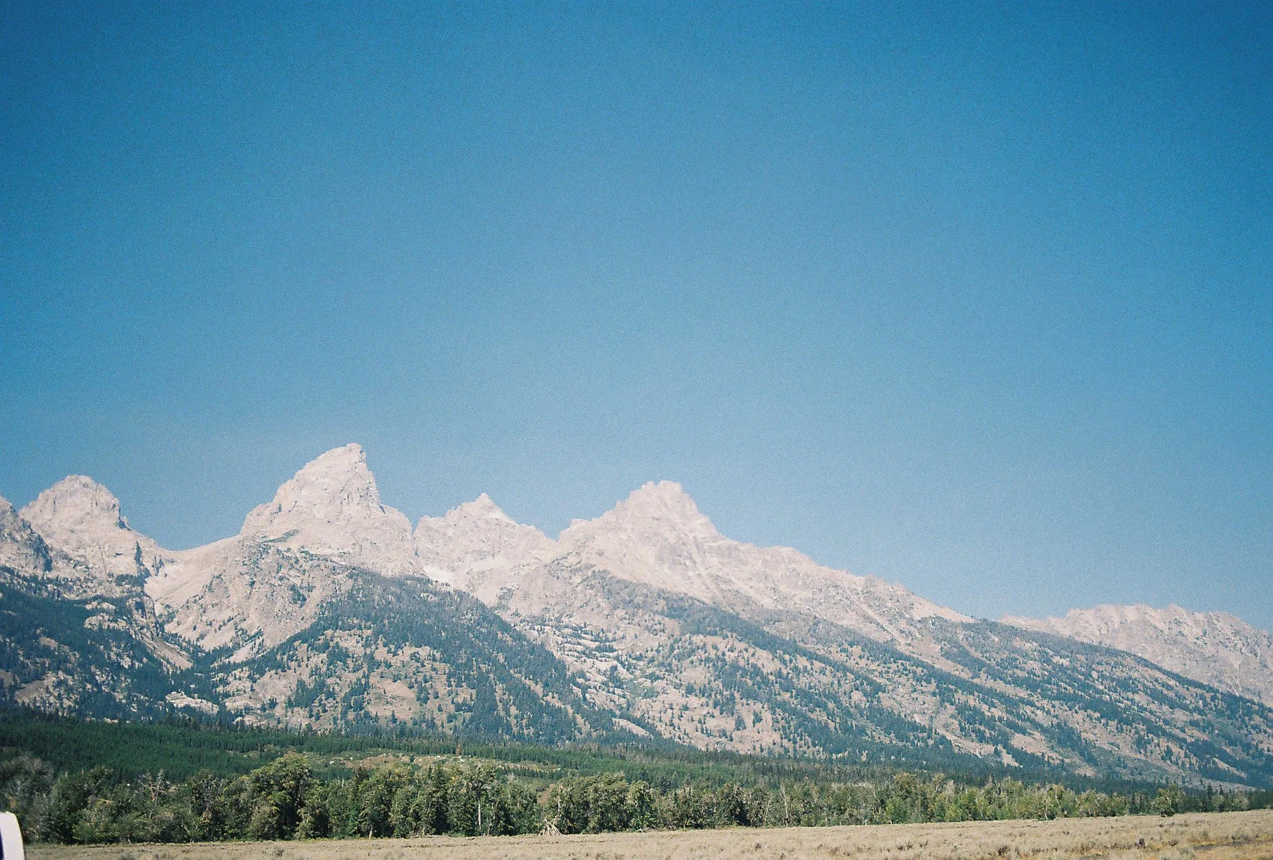 2021-12-04 14.34.58-3.jpg