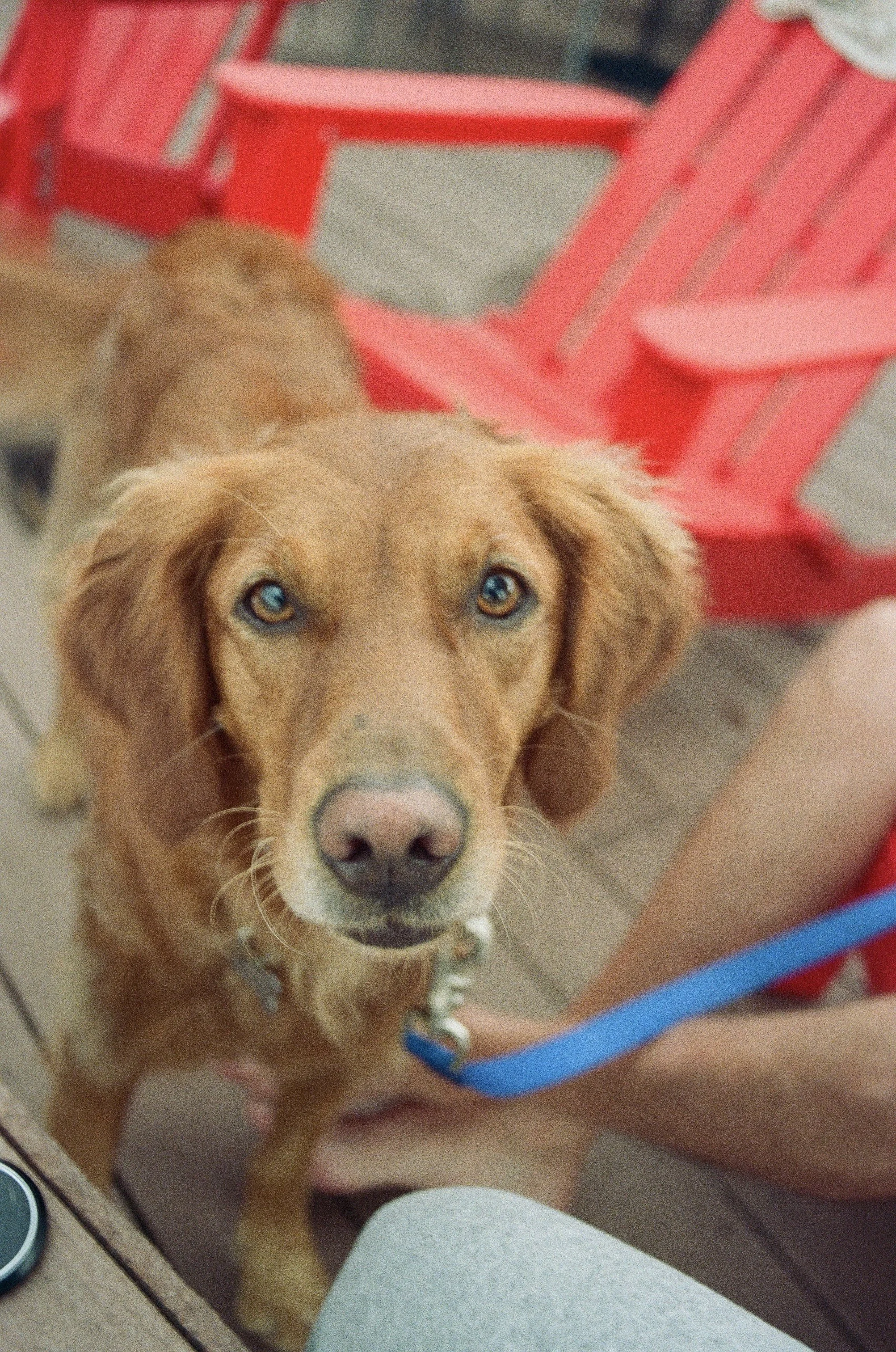 2024-11-13 16.03.37.jpg