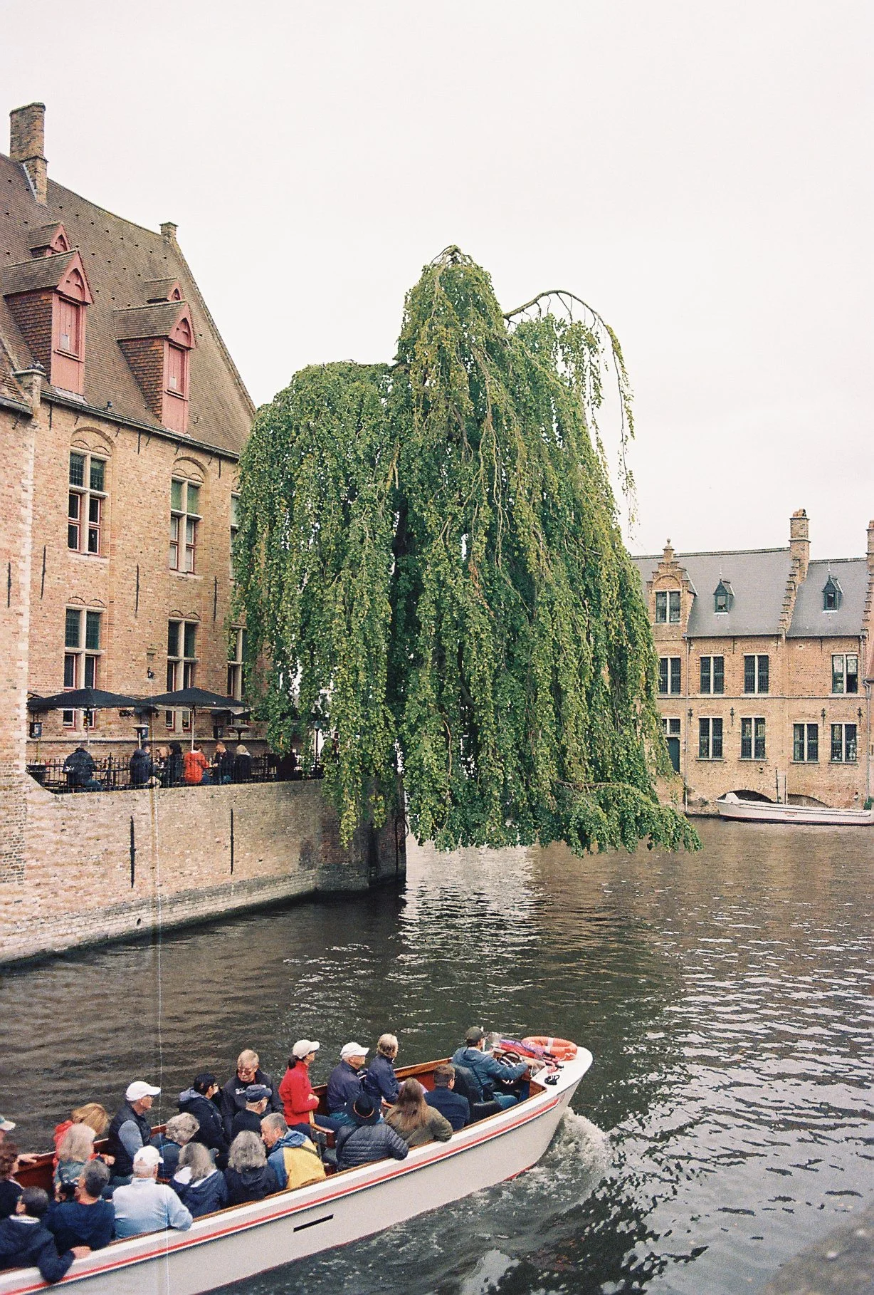 2025-03-24 15.55.49.jpg