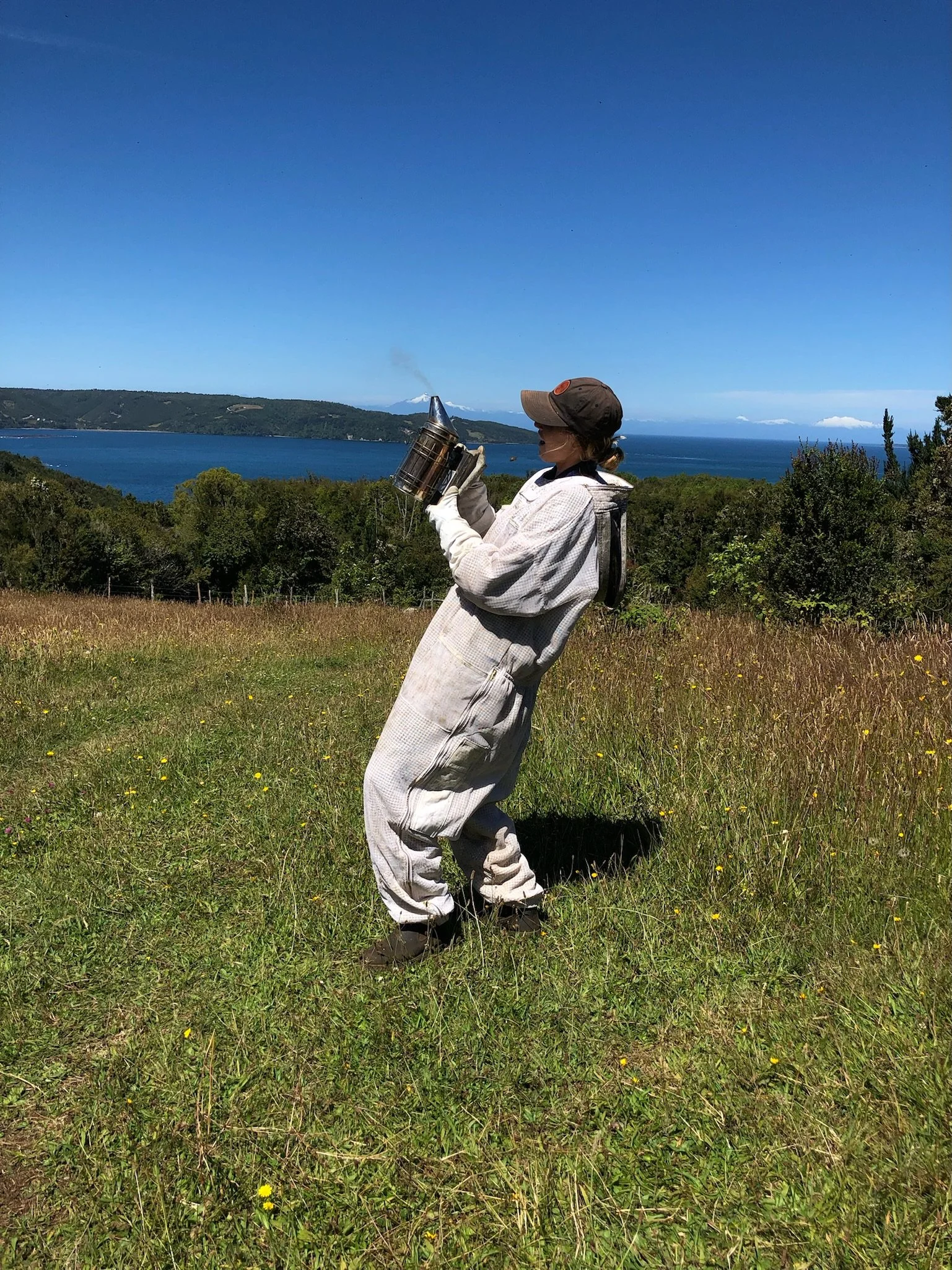 A person dressed in protective clothing, gloves, and a cap holding a container emitting smoke, standing in a grassy field near a body of water with mountains in the background.