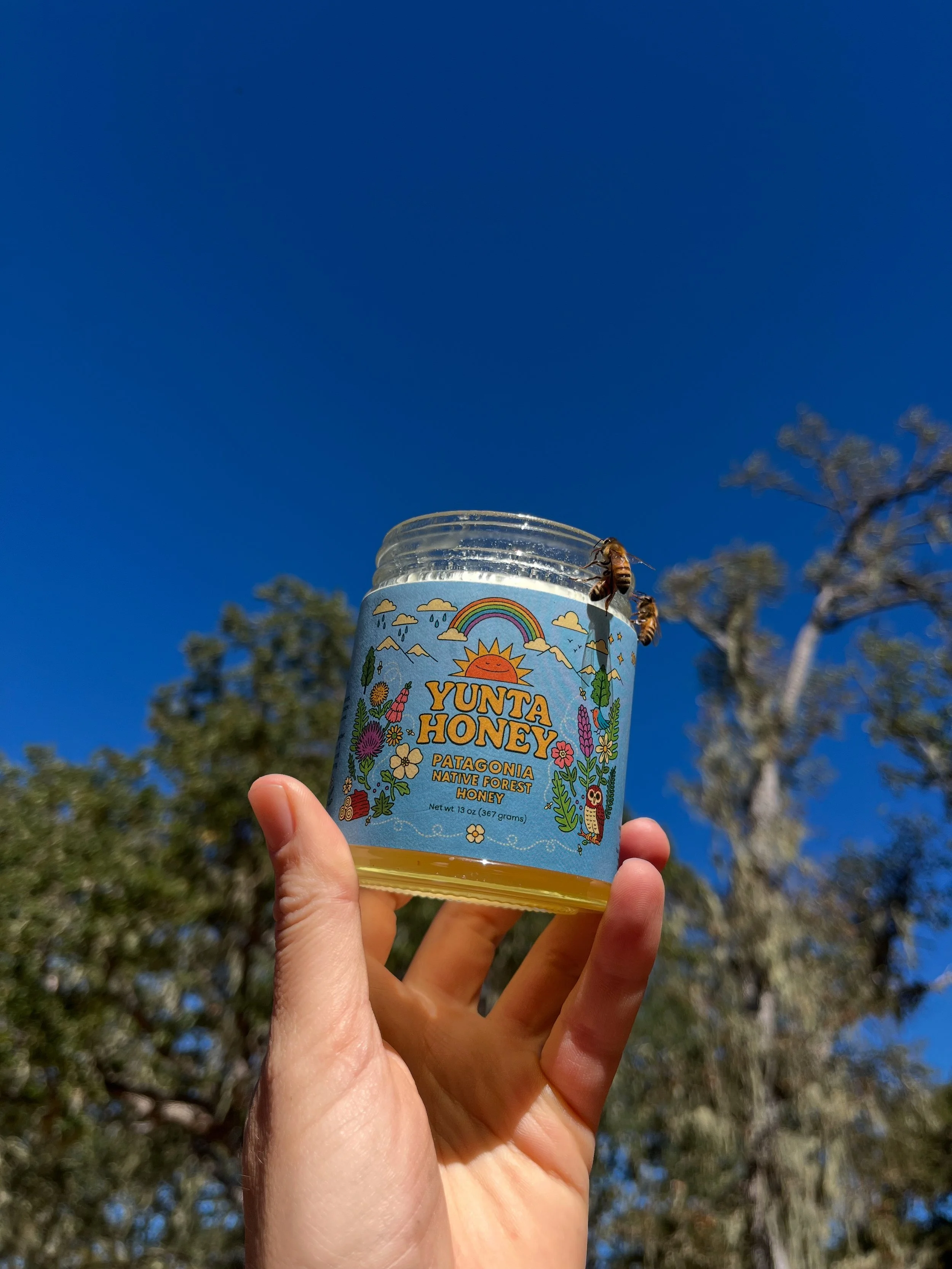Hand holding a jar of Yunta Honey with bees approaching it, against a blue sky and trees in the background.