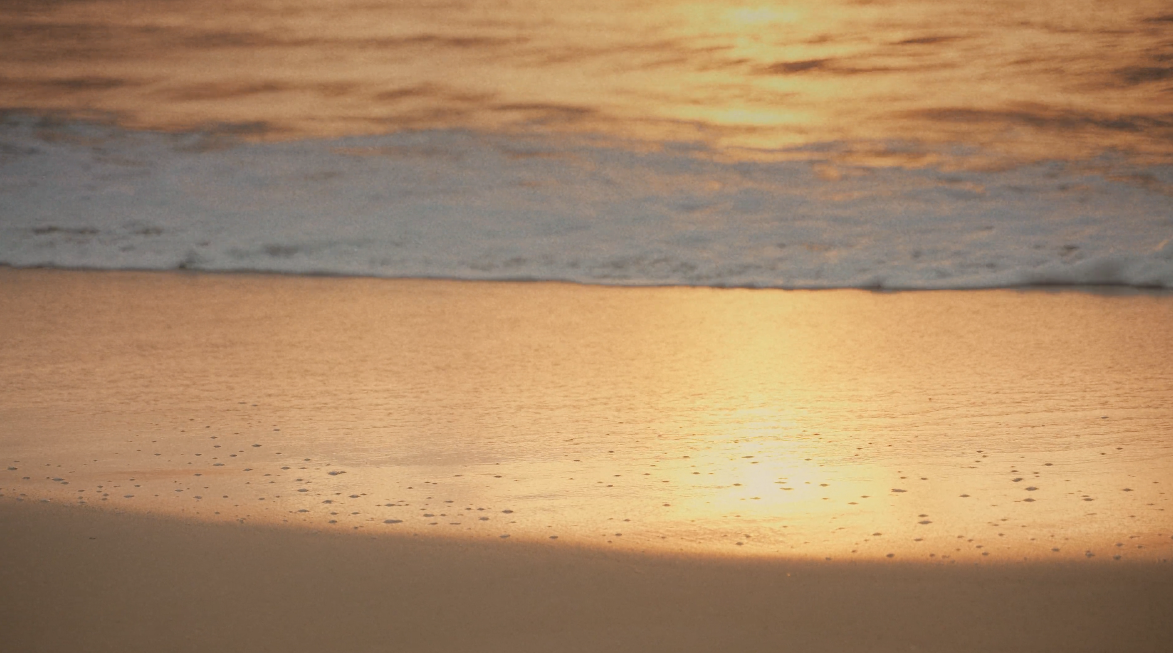 Screen Shot 2025-04-15 at 1.10.16 PM.png