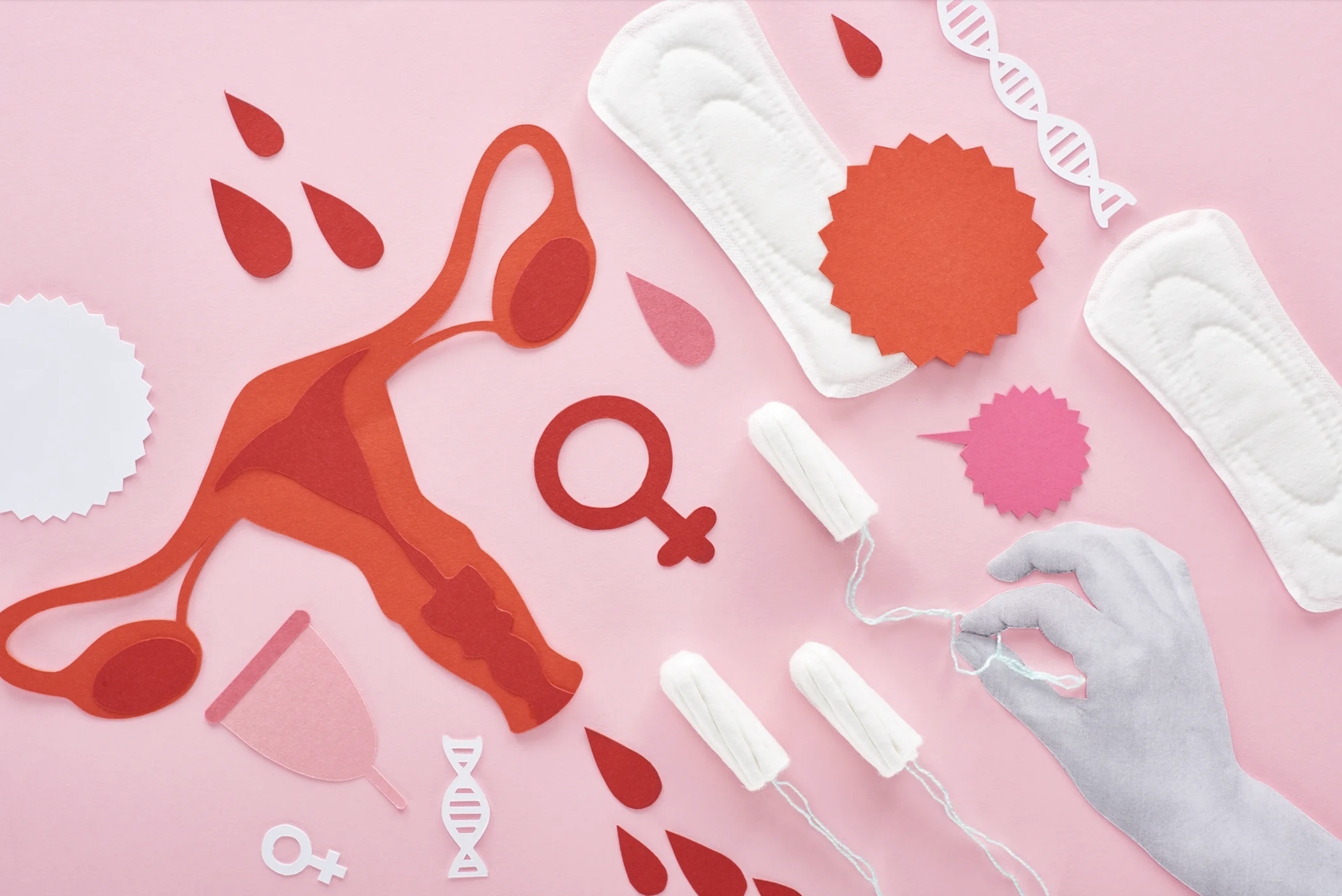 The Essential Role of Menstrual Care in Hygiene Banks