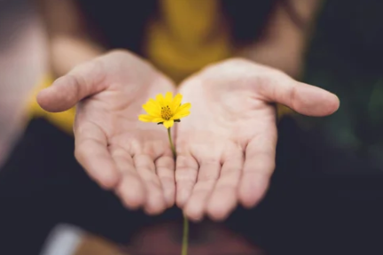 What are Trauma Informed Practices?
