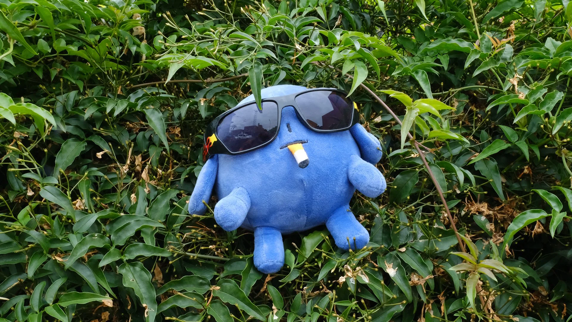 A Smokedog plushie sitting in a jasmine bush wearing cool black sunglasses with flames on them