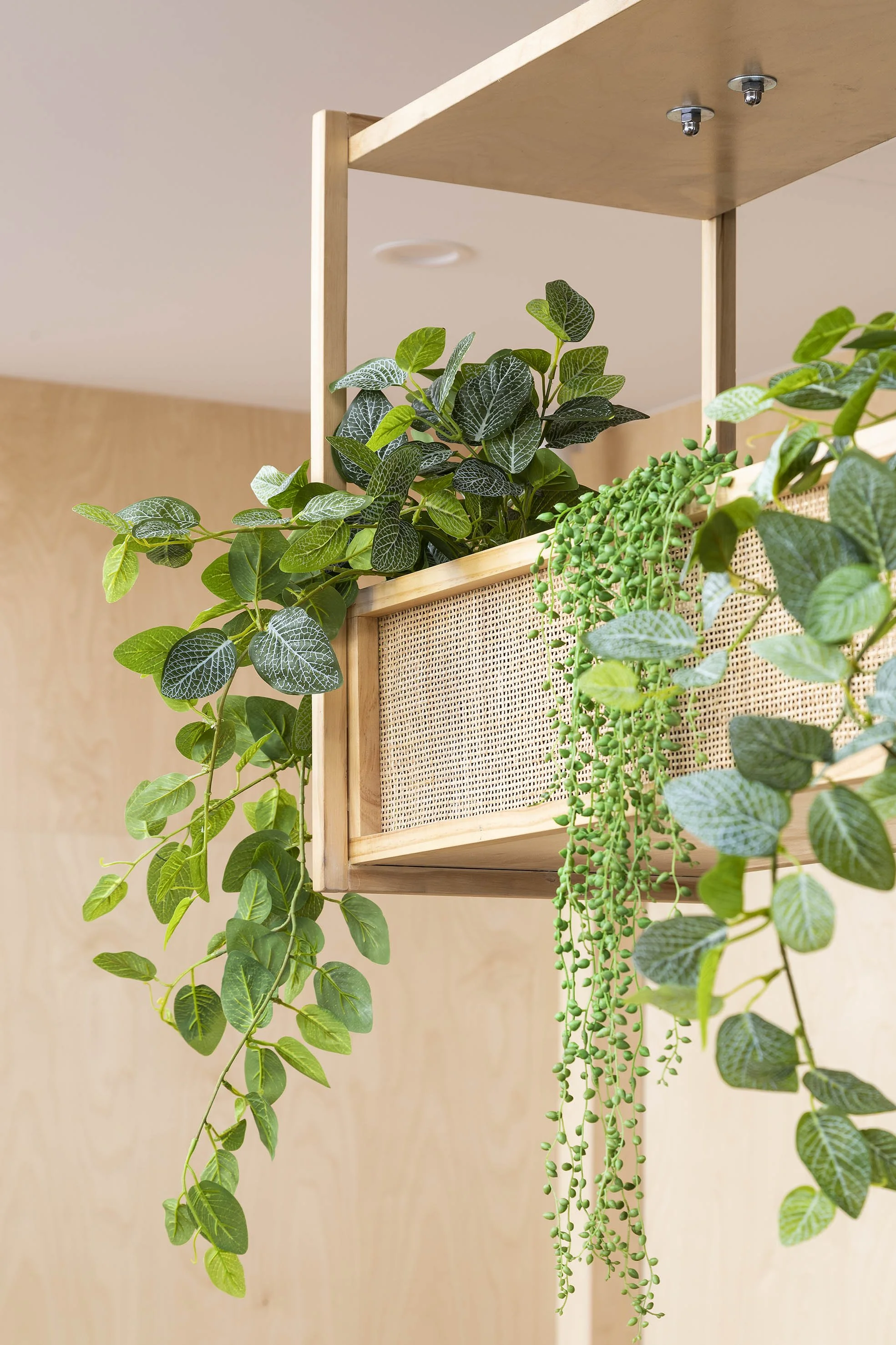 Mojo Homes by The Great Indoors | Award-winning Commercial Interior Design