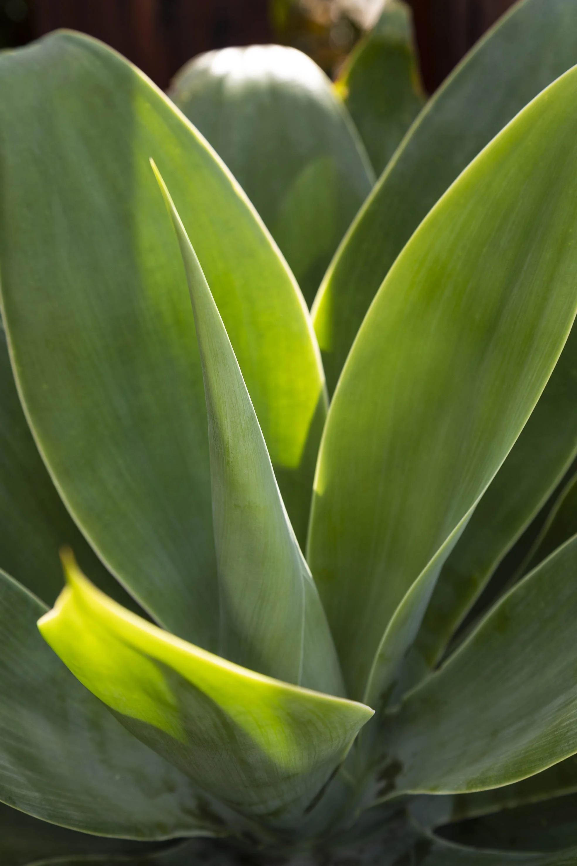 Mojo Homes by The Great Indoors | Award-winning Commercial Interior Design