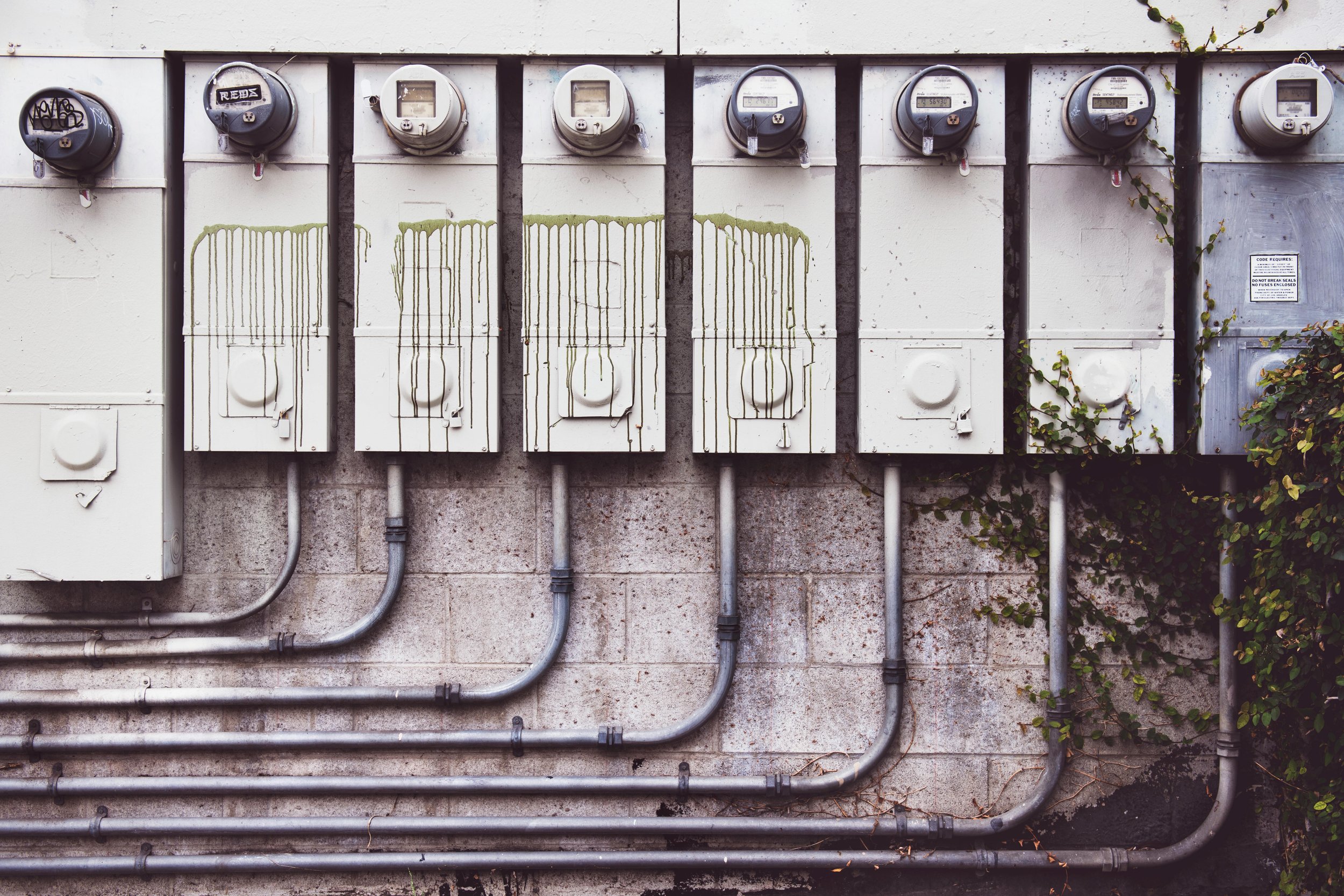 Row of electric meters on a wall with graffiti and vines