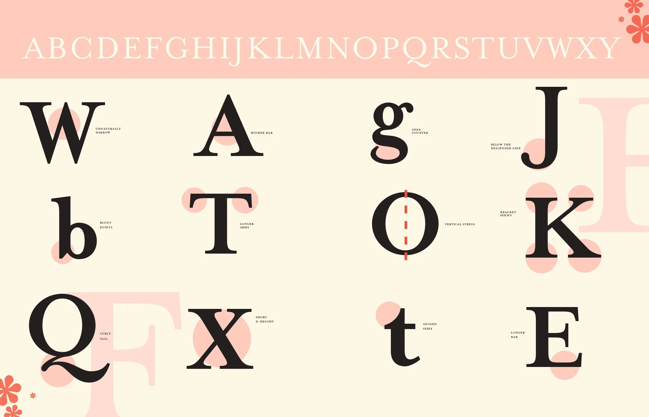 Type-Specimen_Brown_Final_page-0003.jpg