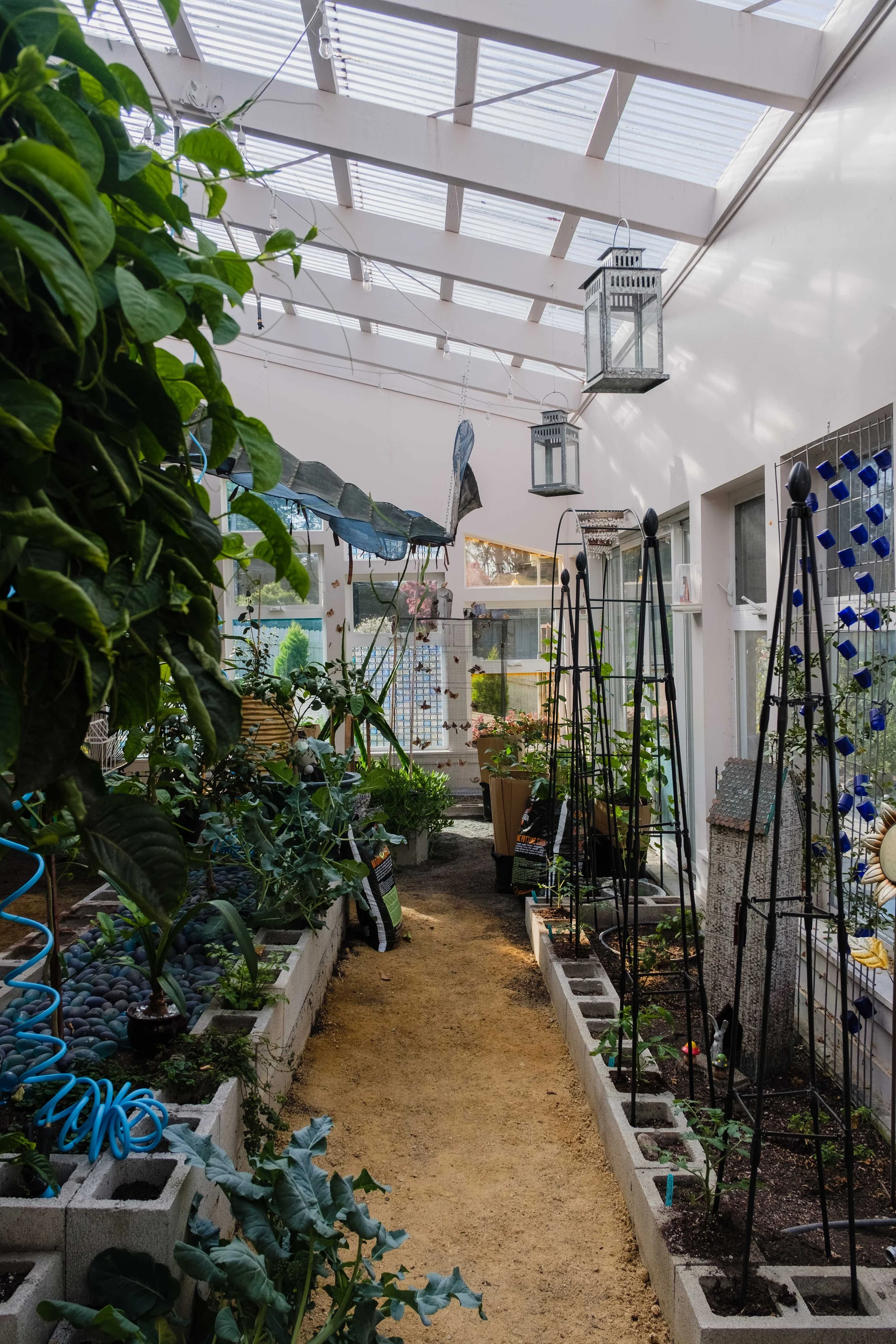 view inside a greenhouse with plants, gardening supplies, and hanging lanterns under a sloped glass roof