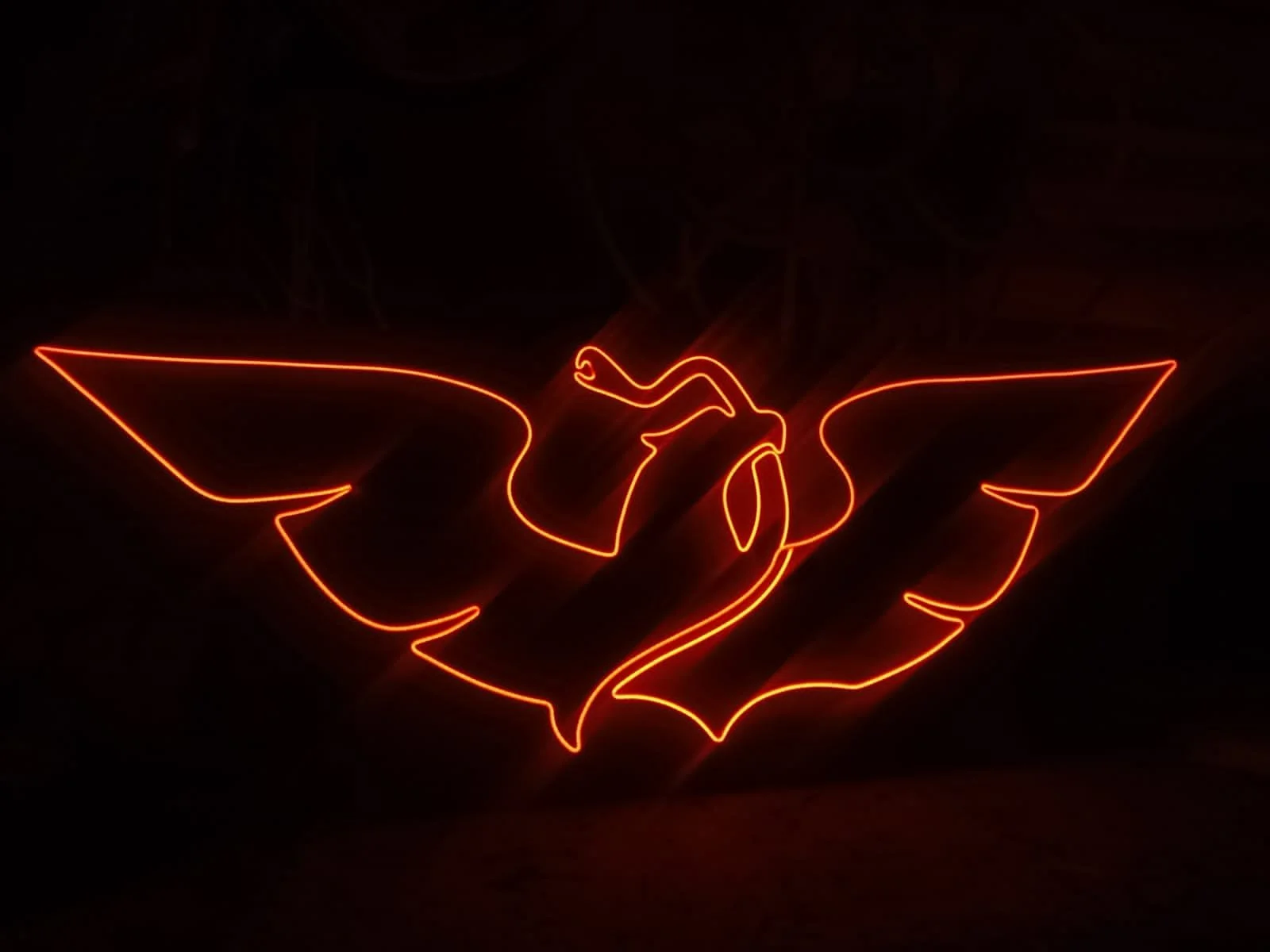 WhatsApp Image 2025-04-03 at 1.43.48 PM.jpeg