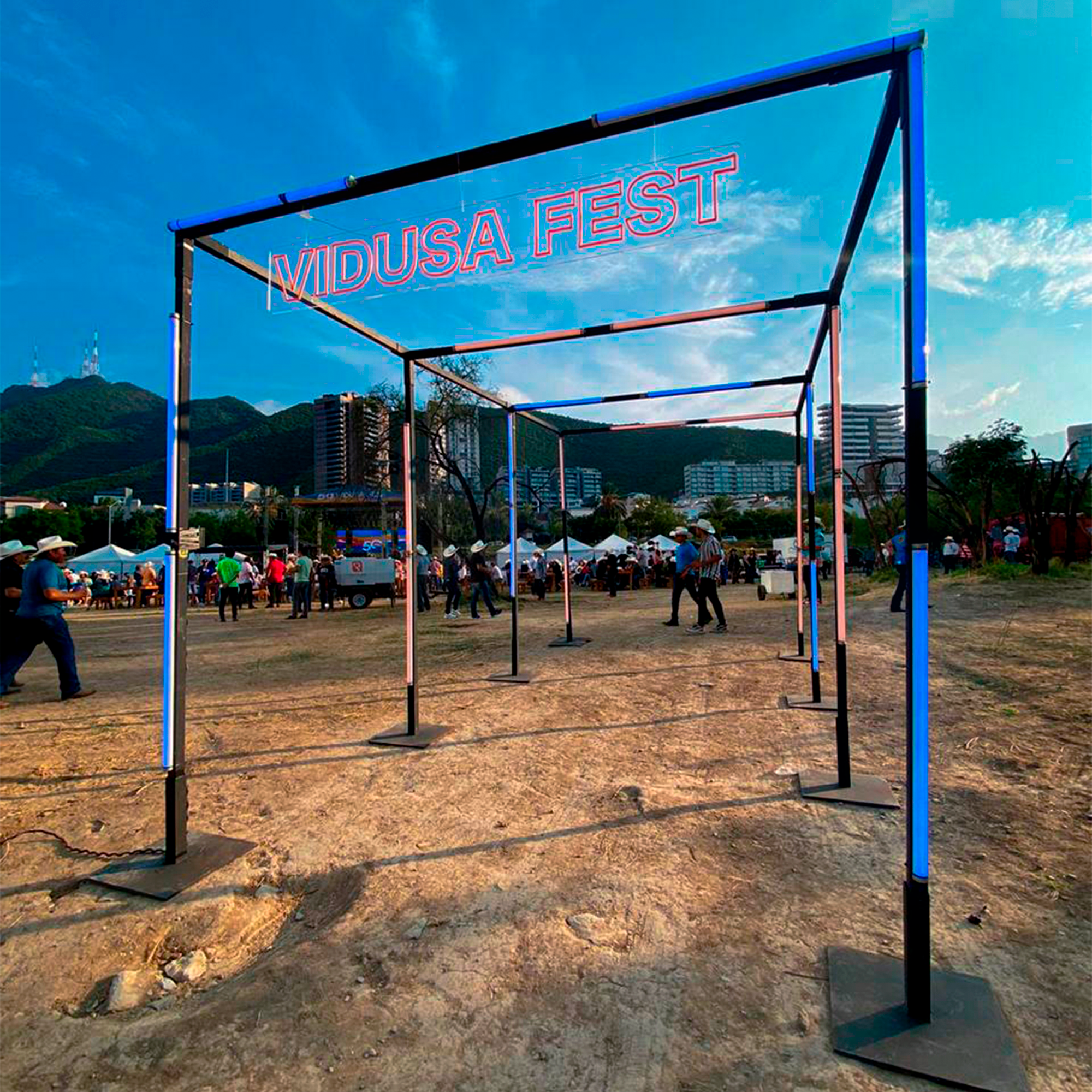 VIDUSA FEST 1.png