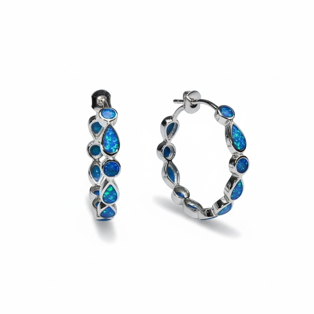 22454- hoop earrings.png