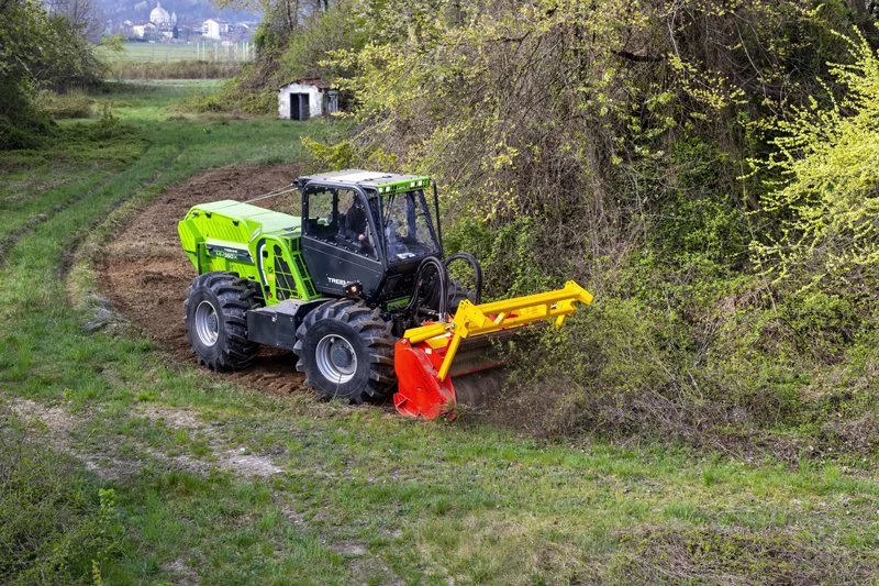 treemex4.jpg