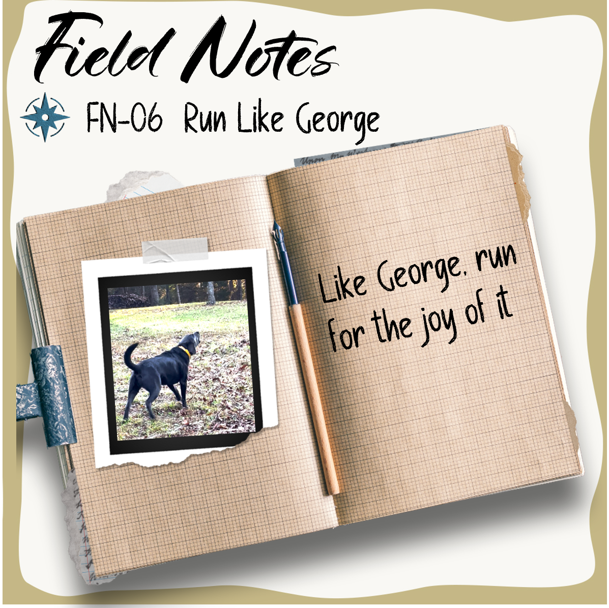 Field Note No. 6 - Run Like George
