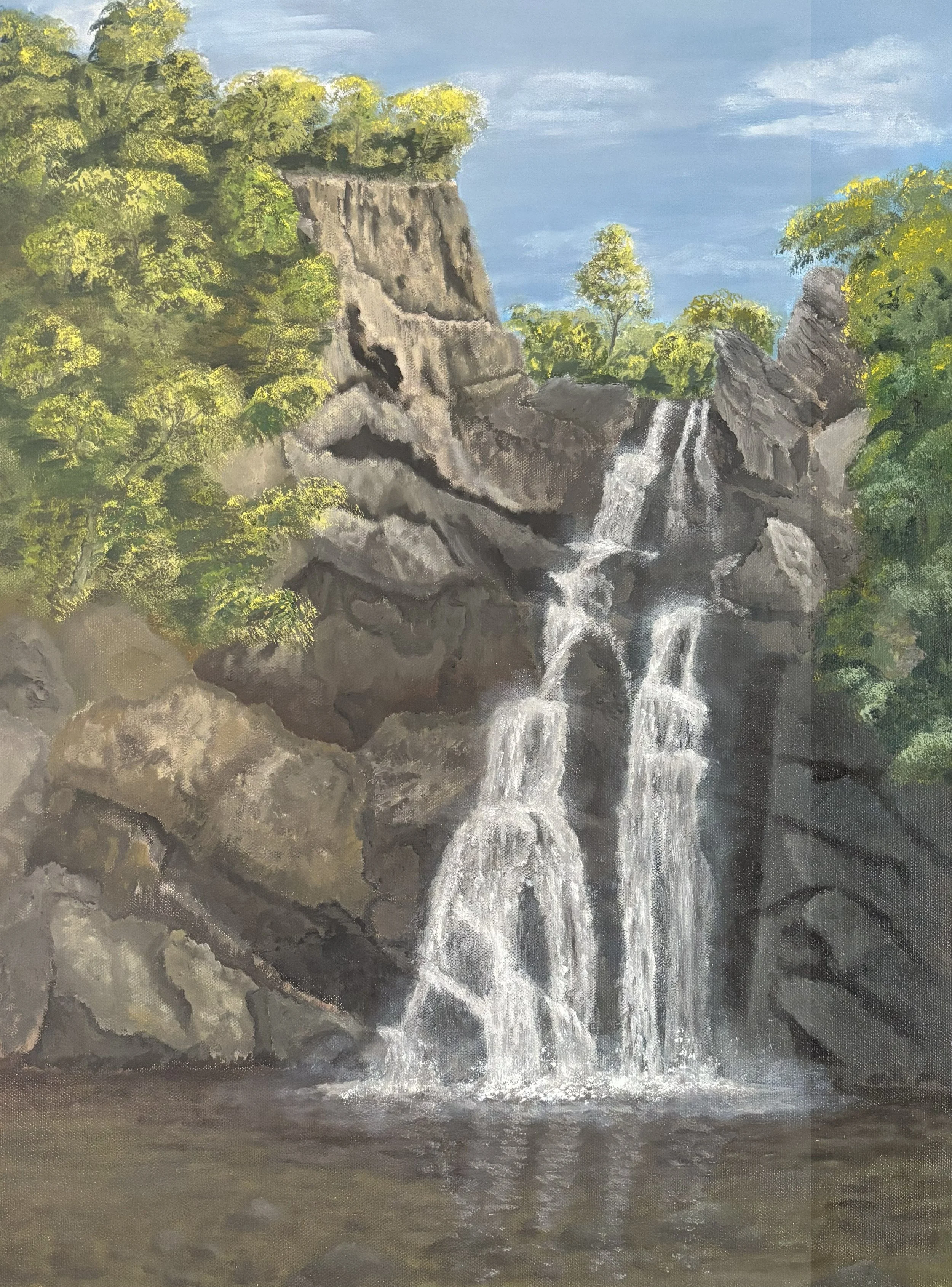 picard,rich_high falls.jpeg