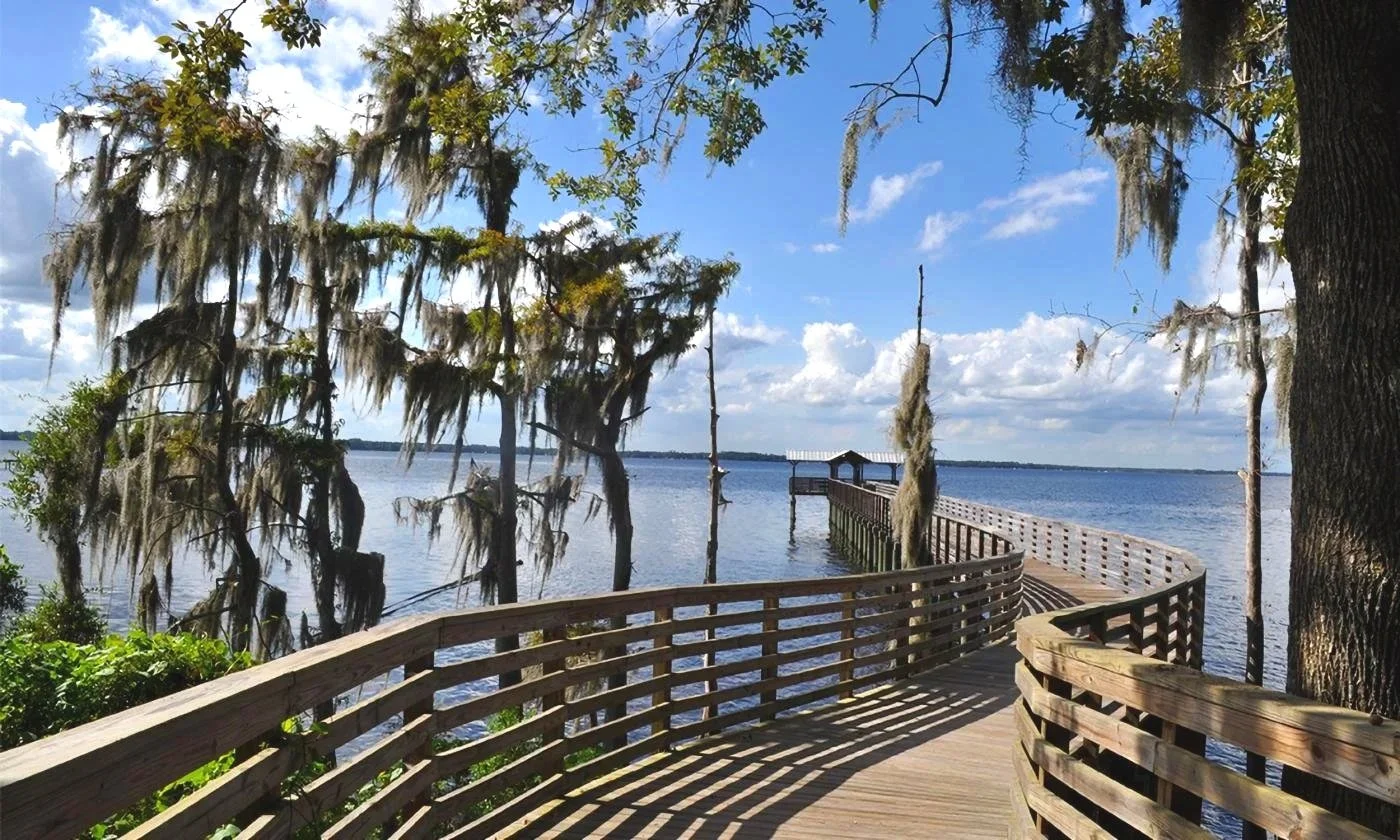 Wooden dock curving over water, with trees and Spanish moss hanging overhead, under a partly cloudy sky.