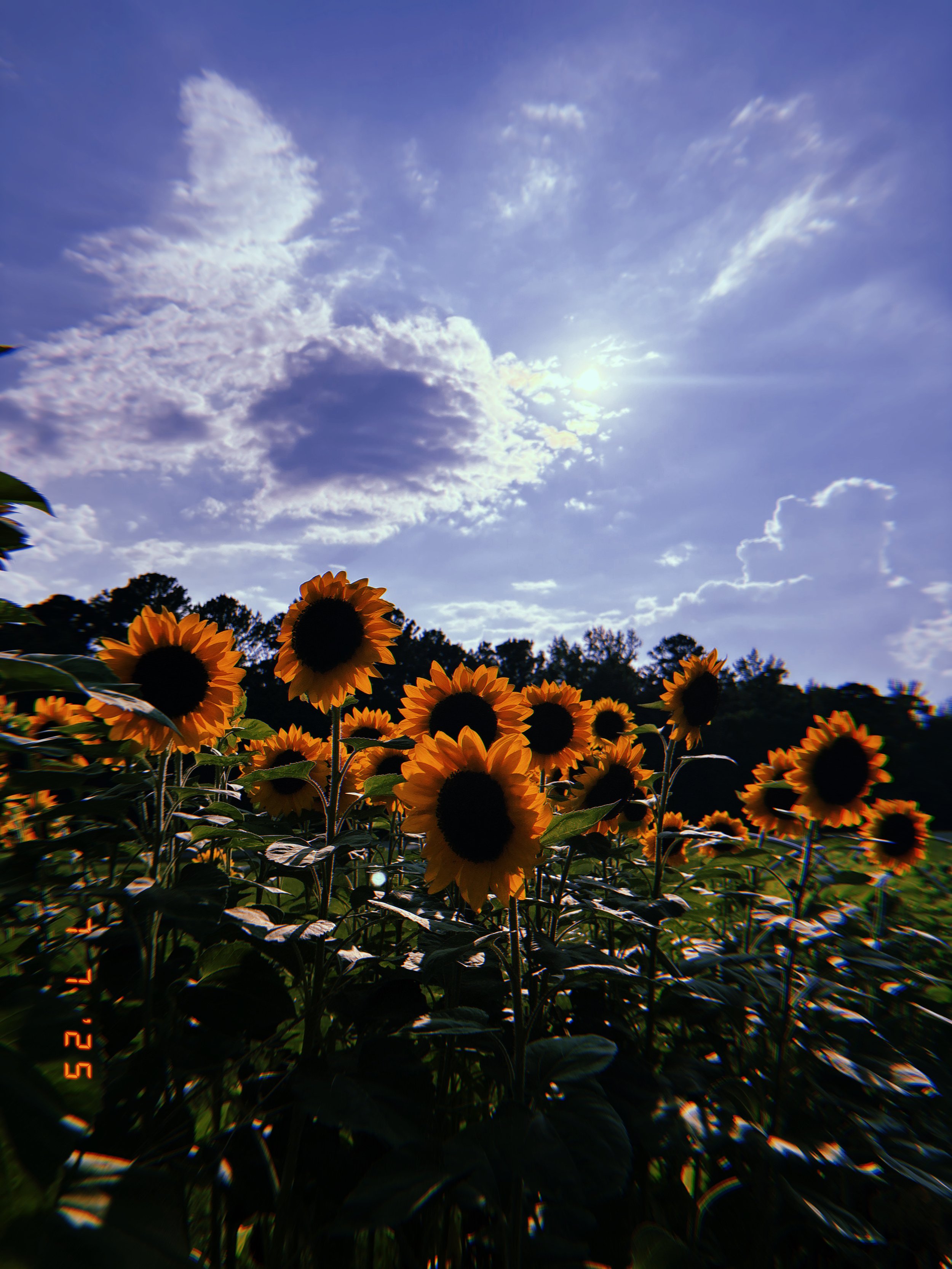 20250707_183629_138.jpeg