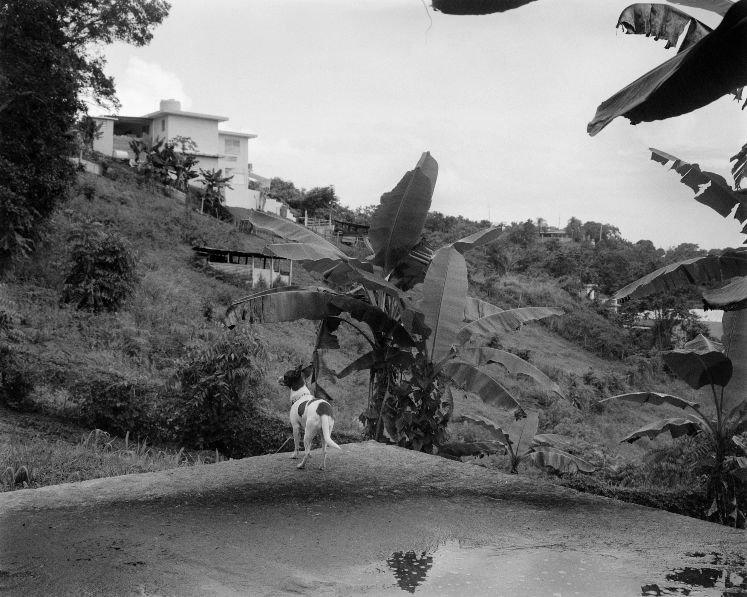 thesis scans6131 copy.jpg