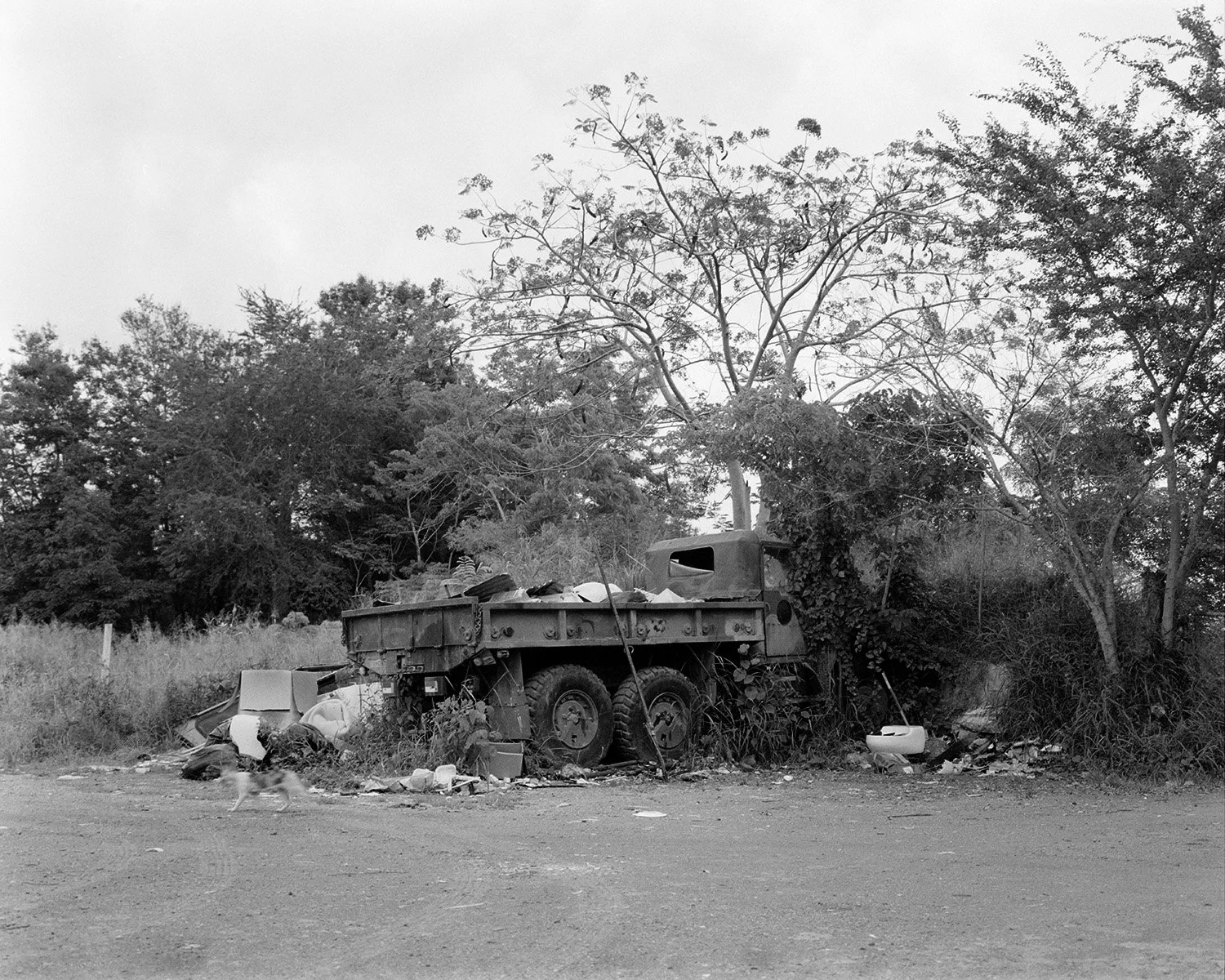 thesis scans6127 copy.jpg