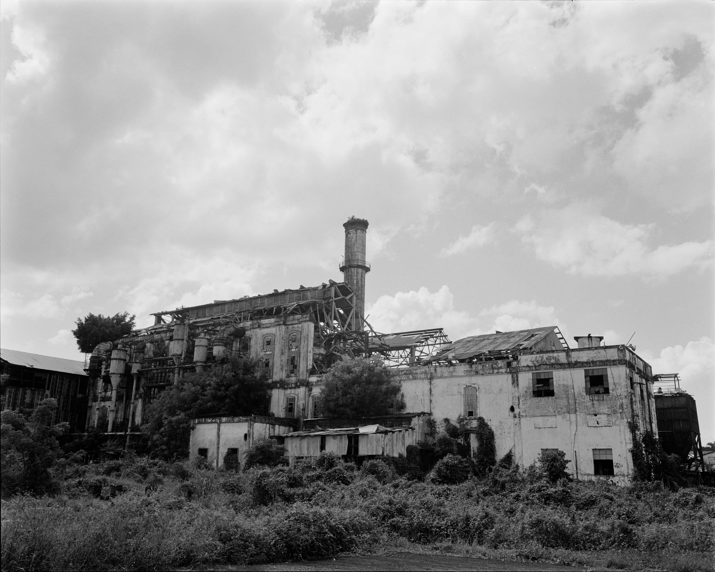 thesis scans6145.jpg