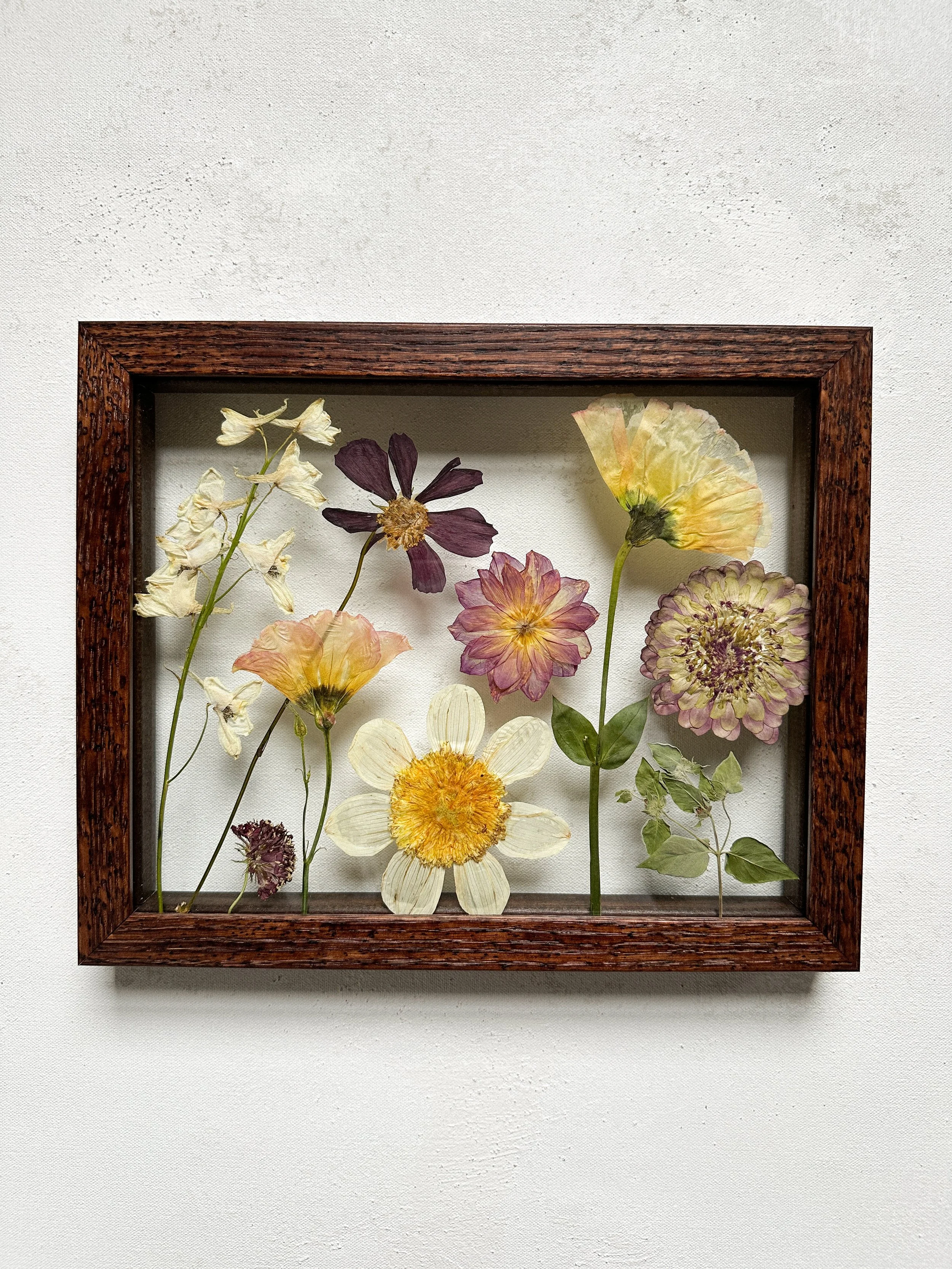 8x10 Walnut Ally H.jpeg