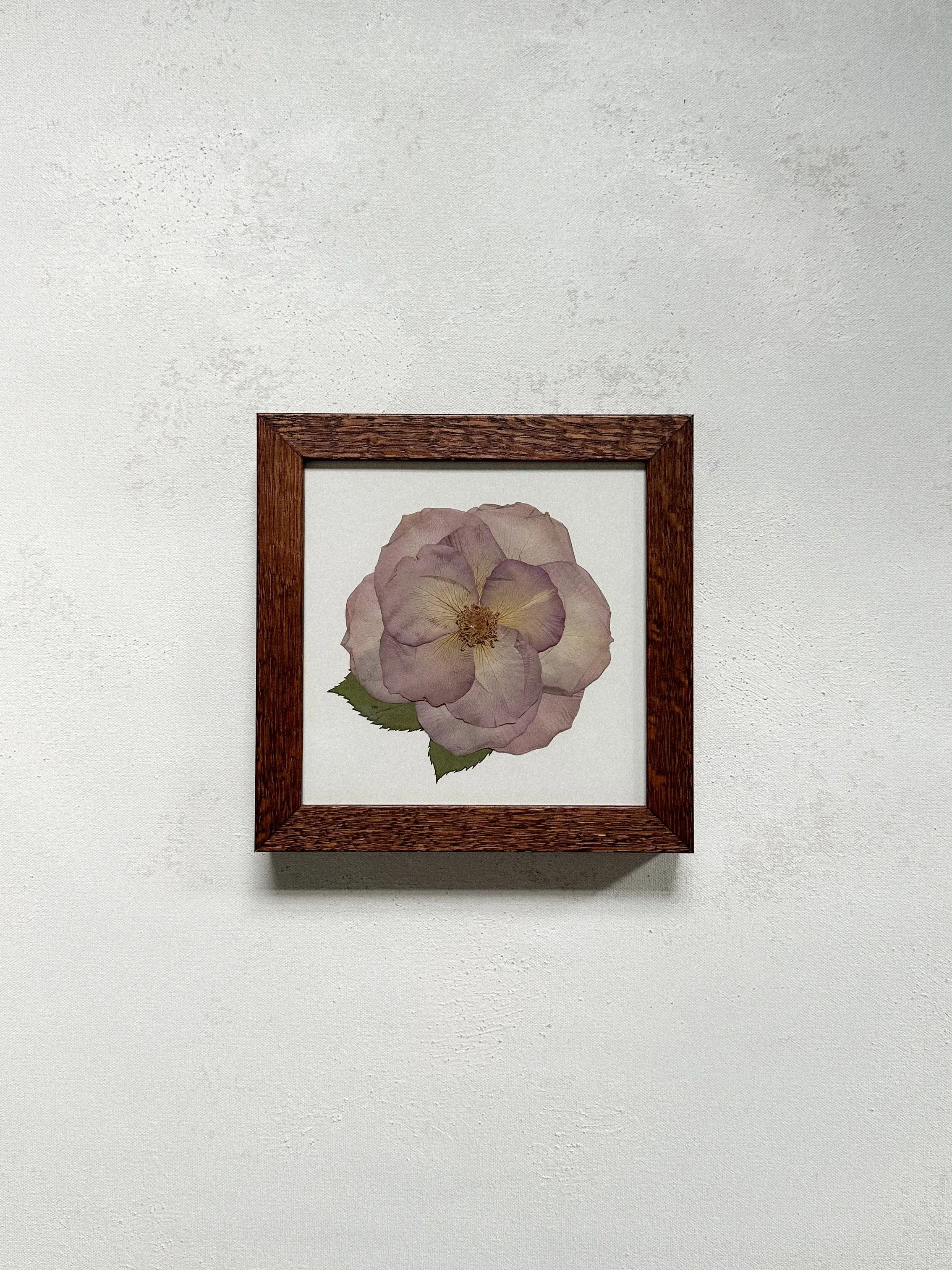6x6 Single Variety Custom Pressed Flower Frame