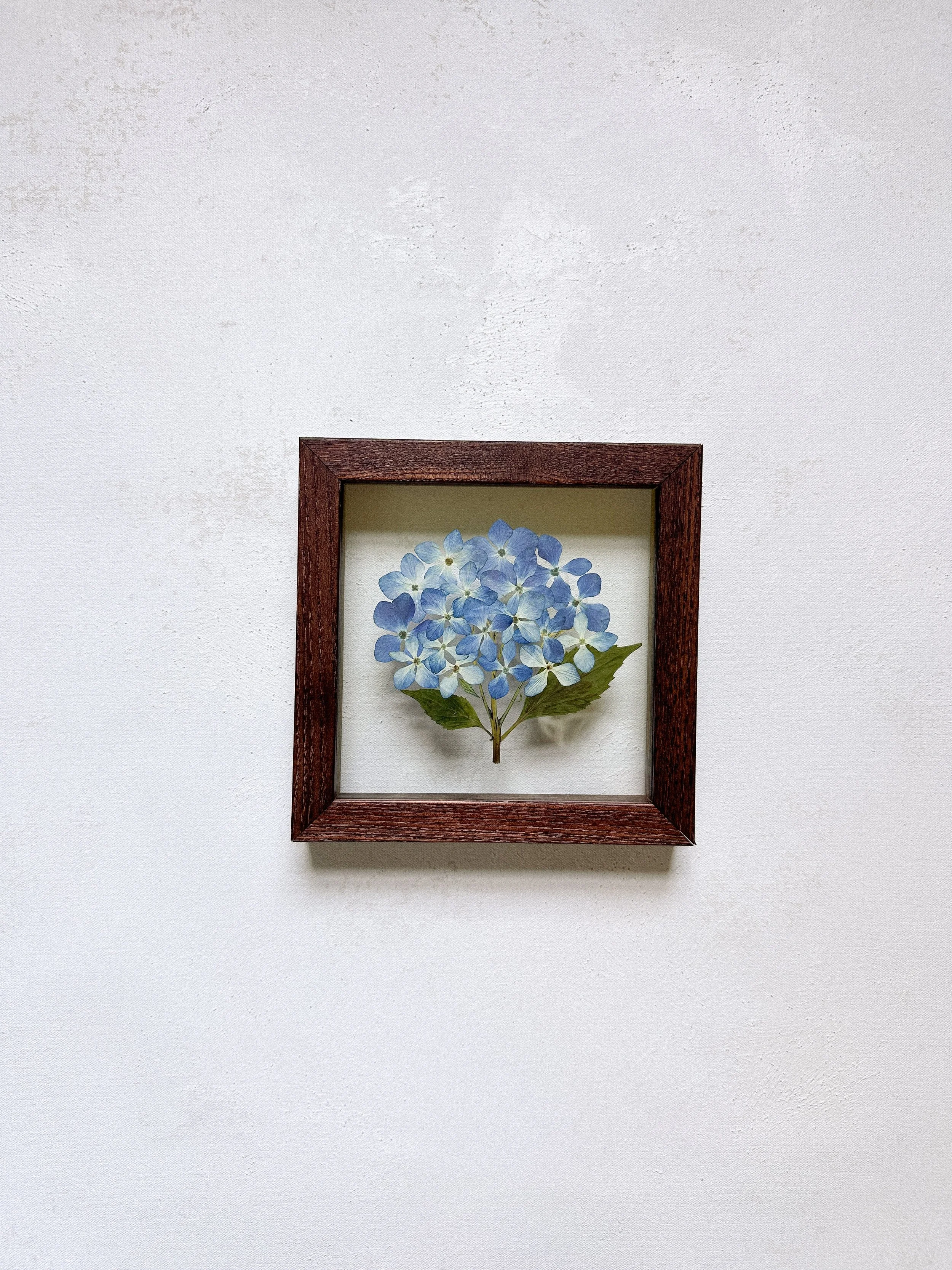 6x6 Single Variety Custom Pressed Flower Frame